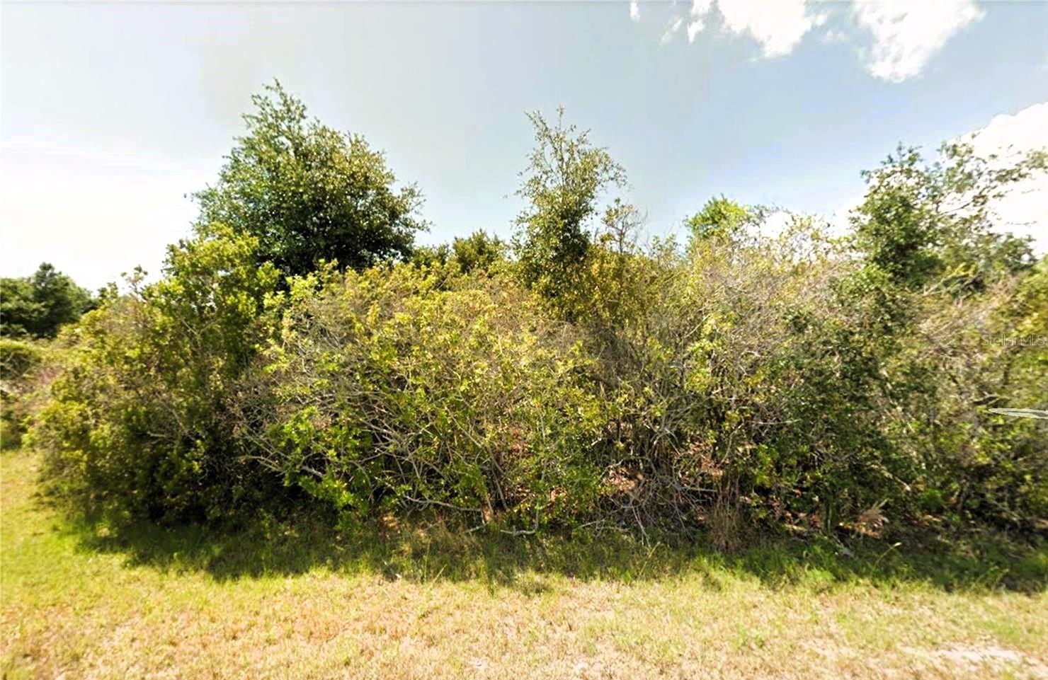 7089 Araby Ct Property Photo 2