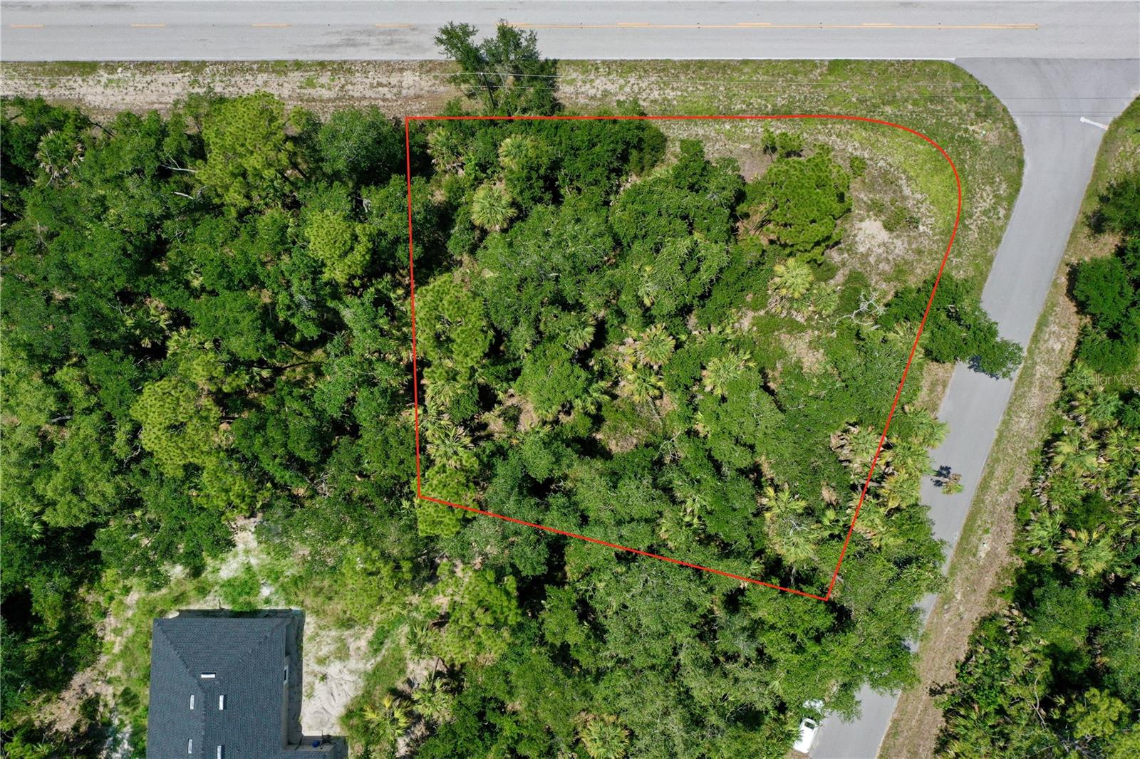 1011 Berthoud St Property Photo 3
