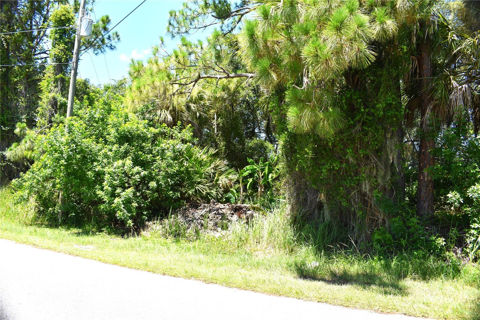 Mctague St Property Photo 2
