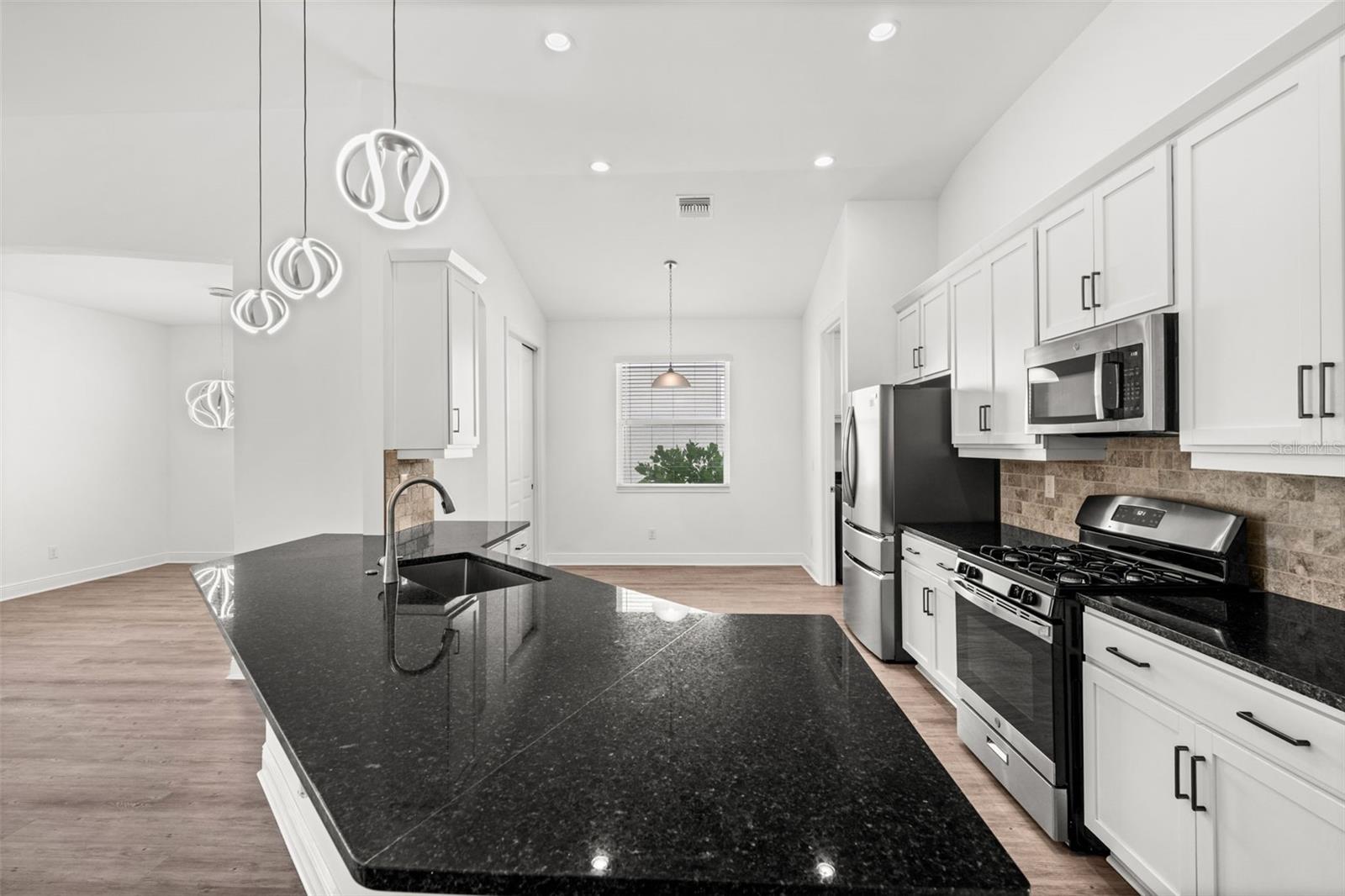 15880 Elina Sky Dr Property Photo 13
