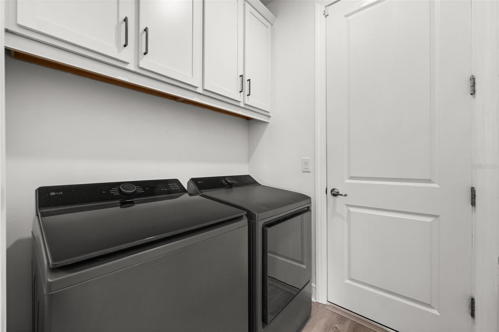 15880 Elina Sky Dr Property Photo 39
