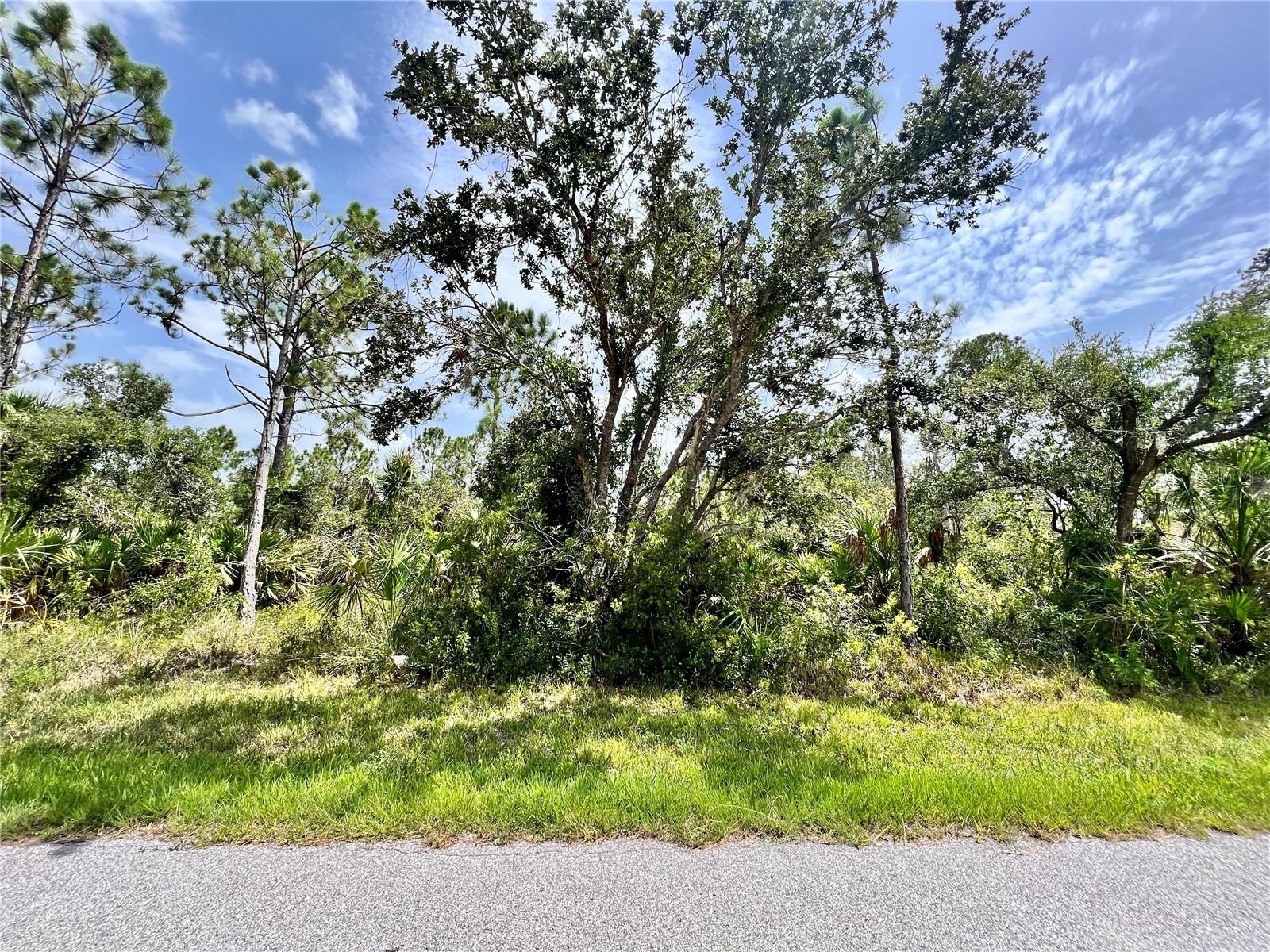 13377 Johannes Ave Property Photo 1
