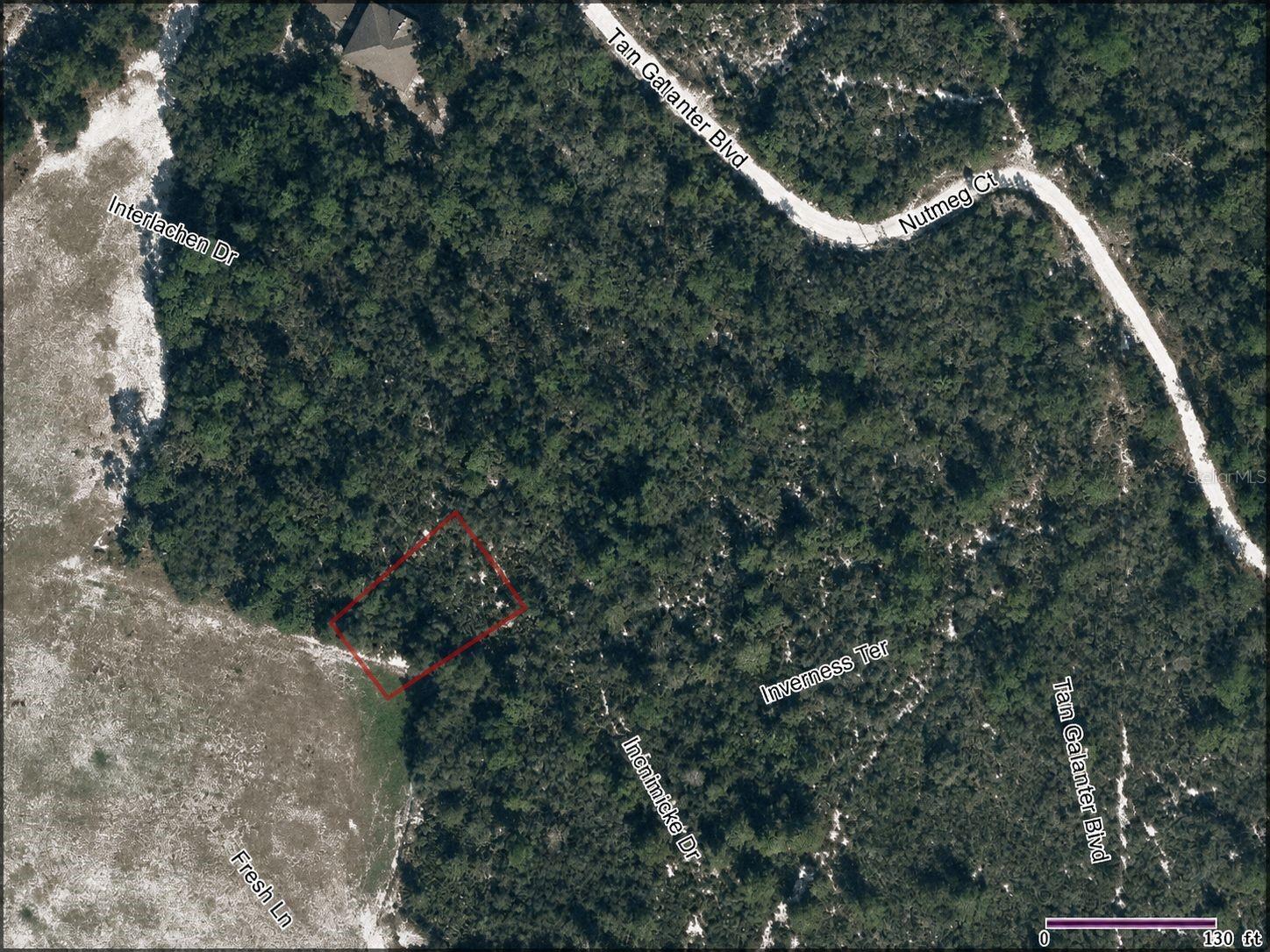 10566 Interlacher Dr Property Photo 3