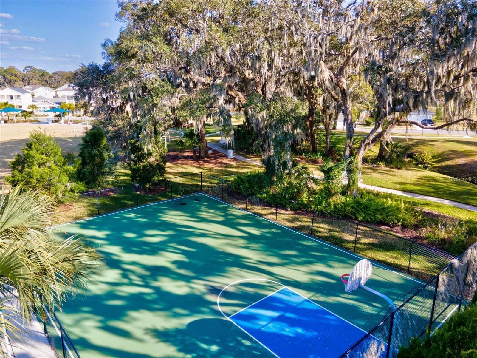 10703 Falling Leaf Ct Property Photo 68