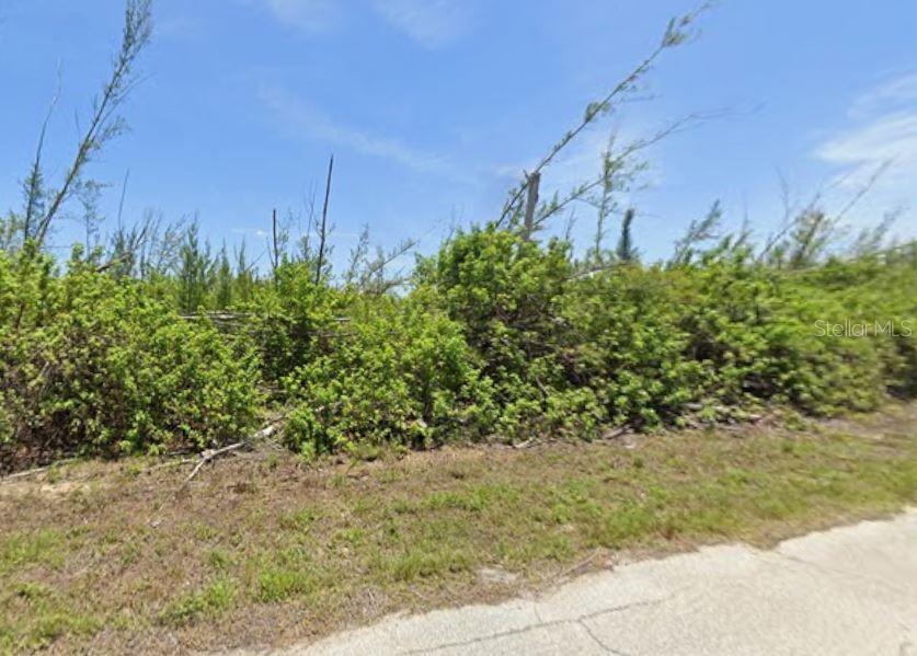10152 Amy Ter Property Photo 3