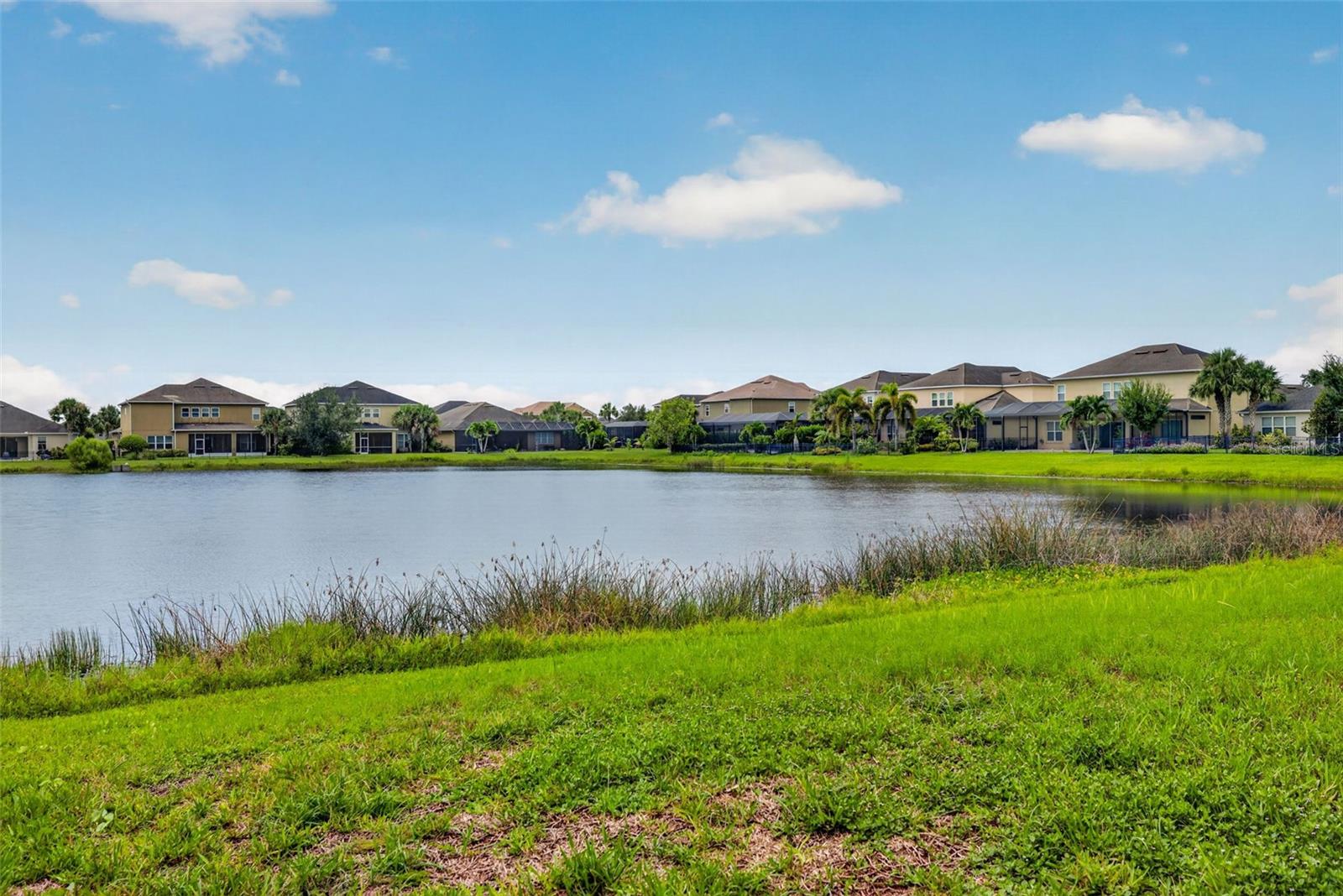 5934 Anise Dr Property Photo 45