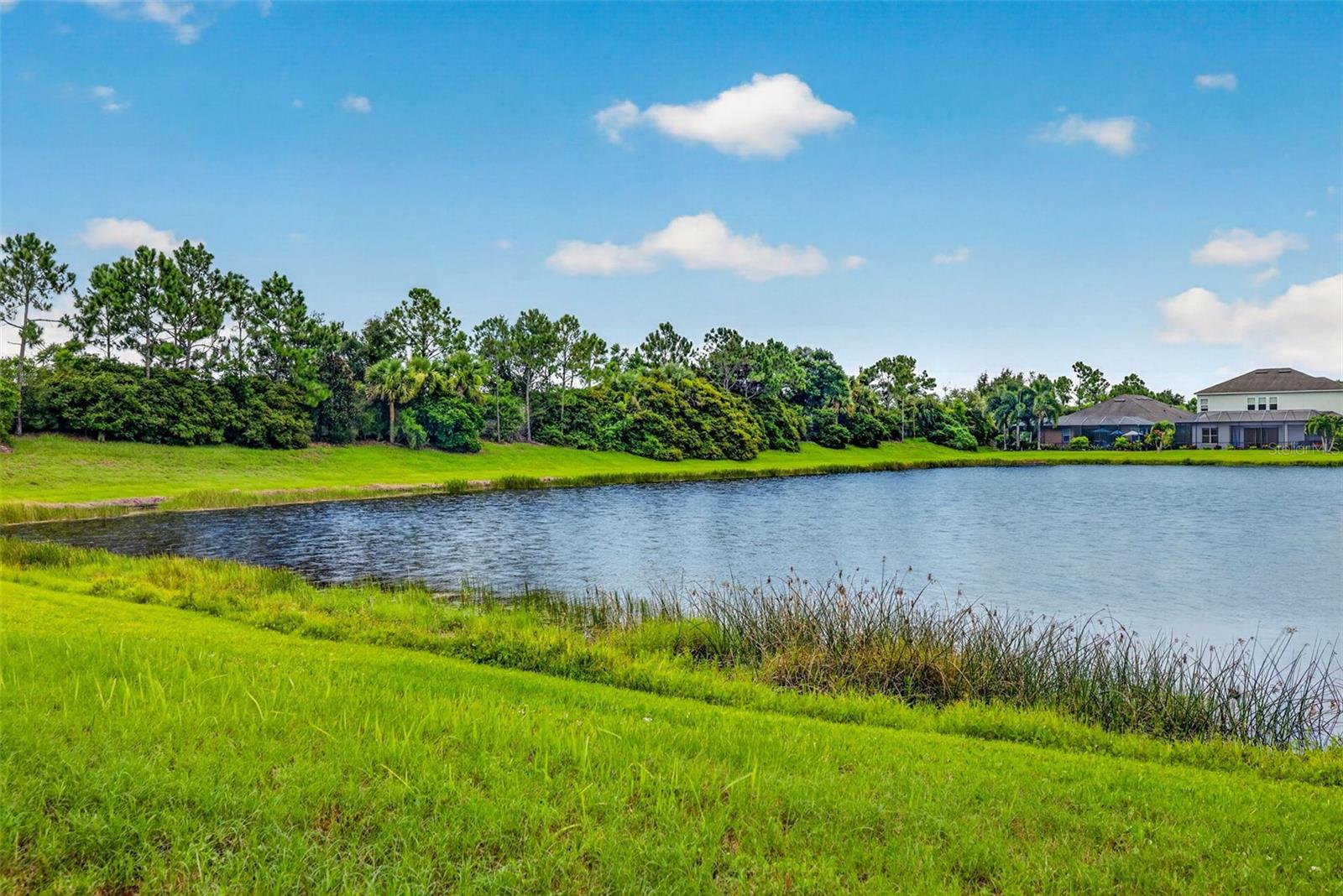 5934 Anise Dr Property Photo 46
