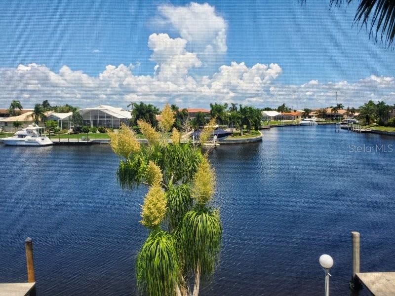 3768 Bal Harbor Blvd #4 Property Photo 4