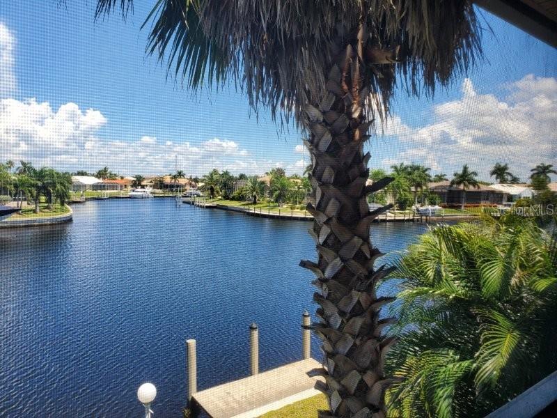 3768 Bal Harbor Blvd #4 Property Photo 6