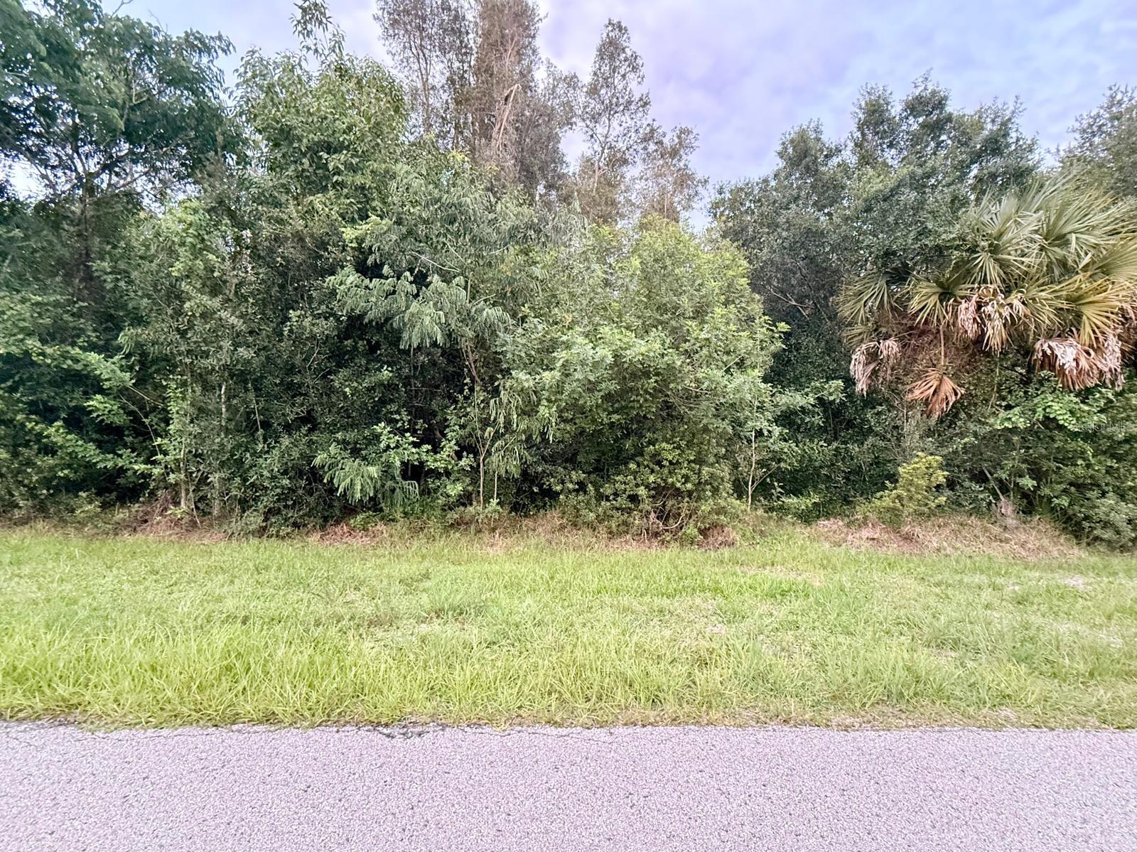 28304 Pasadena Dr Property Photo 1