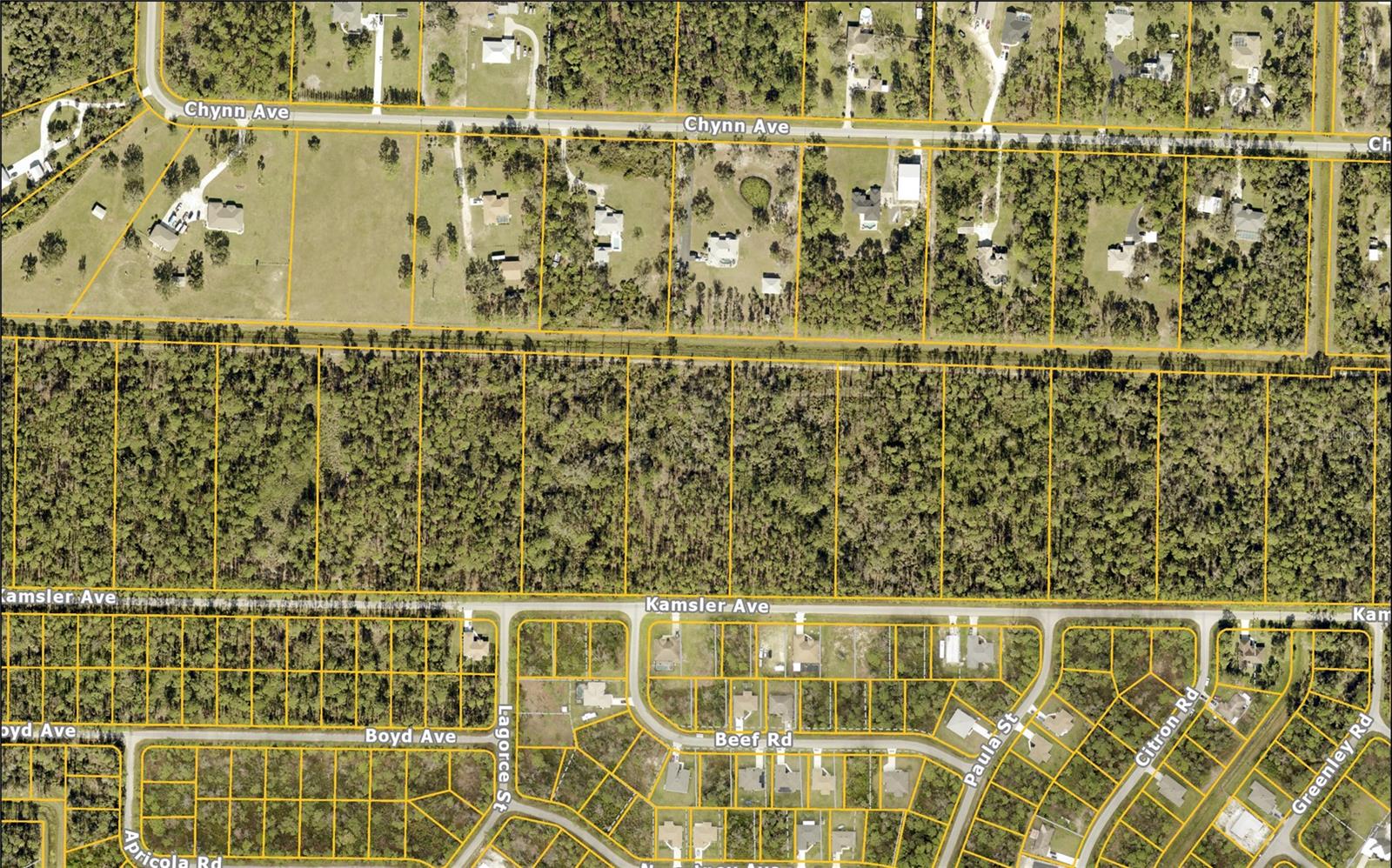 Kamsler Ave Property Photo 3