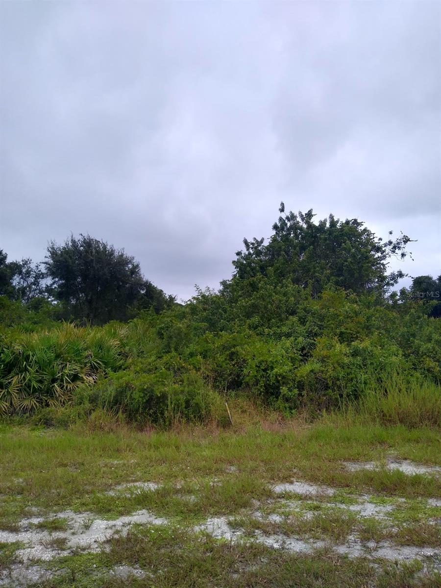 12952 Foresman Blvd Property Photo 1