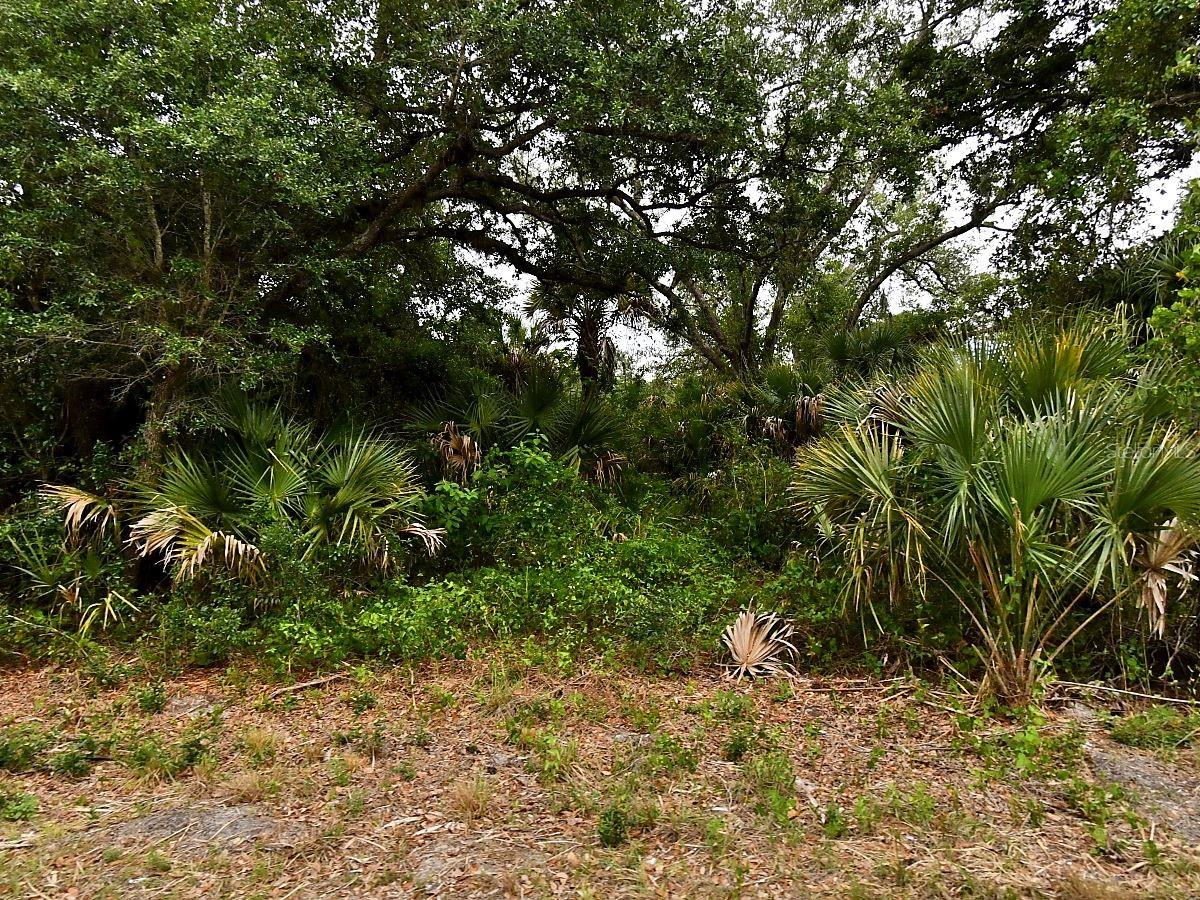 Lot 18 DUNSMUIR RD Property Photo 1