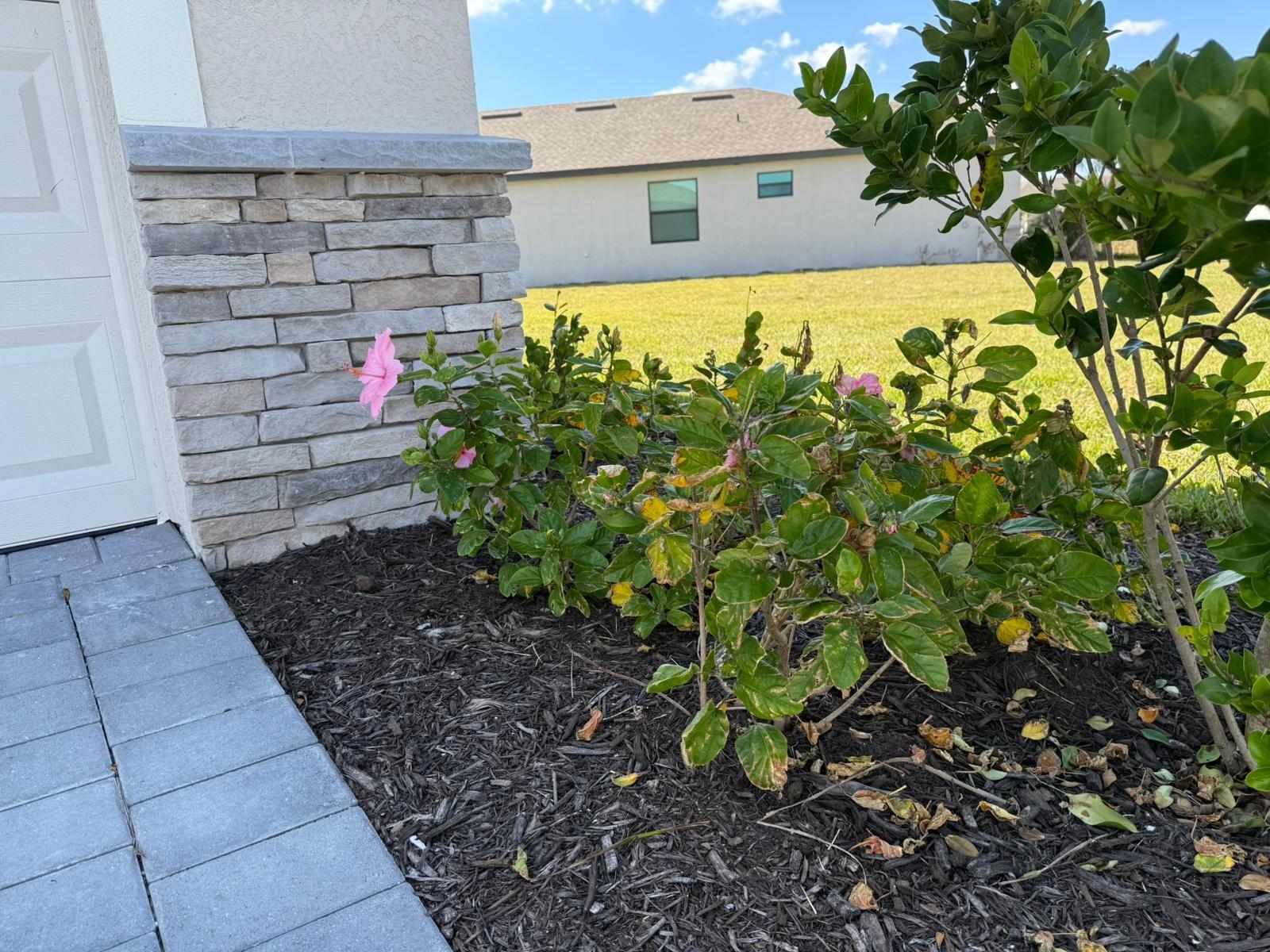 1553 Saddlewood Cir Property Photo 12