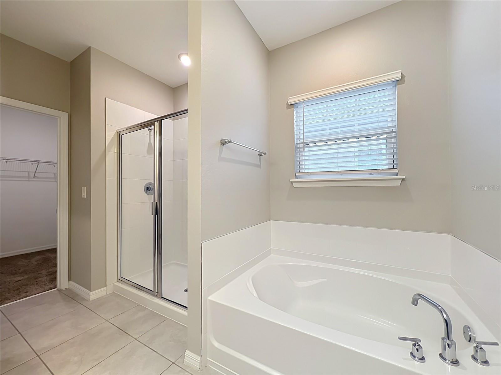 1549 Astoria Arbor Ln Property Photo 31