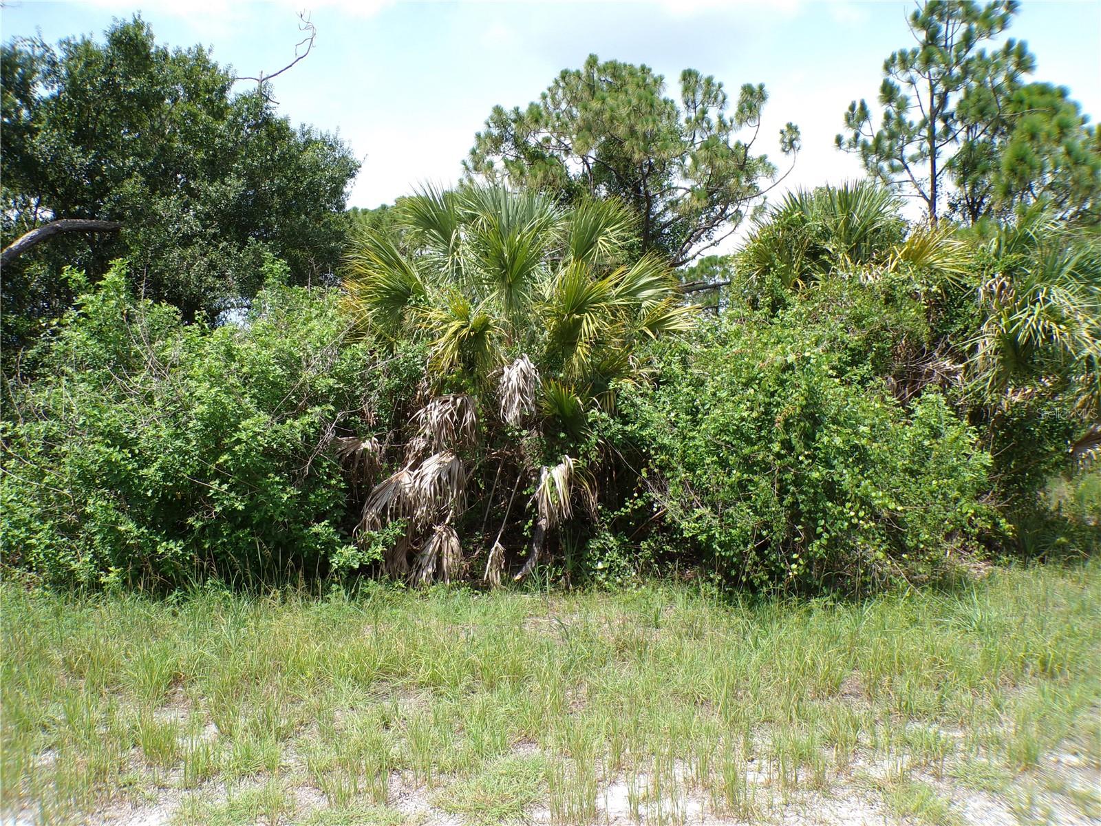 CONSTITUTION DR Property Photo 1