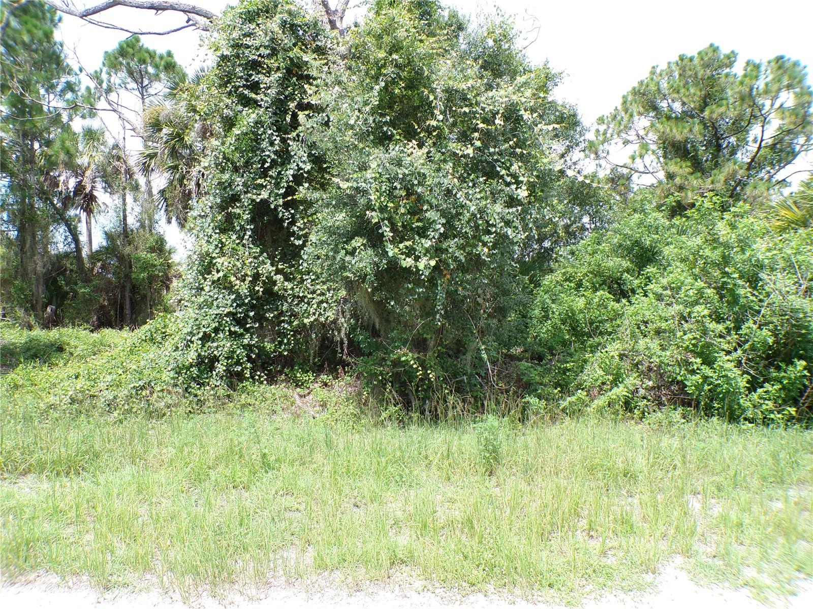 Constitution Dr Property Photo 2