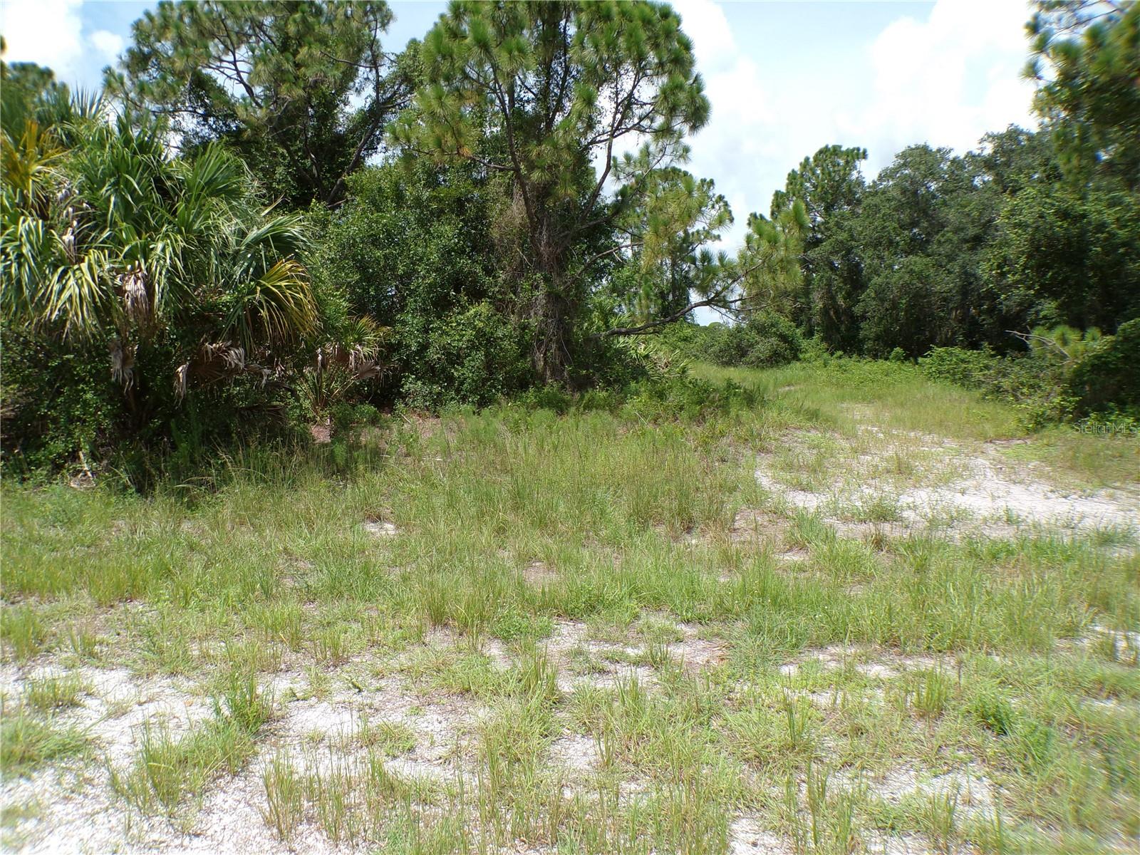 Constitution Dr Property Photo 5
