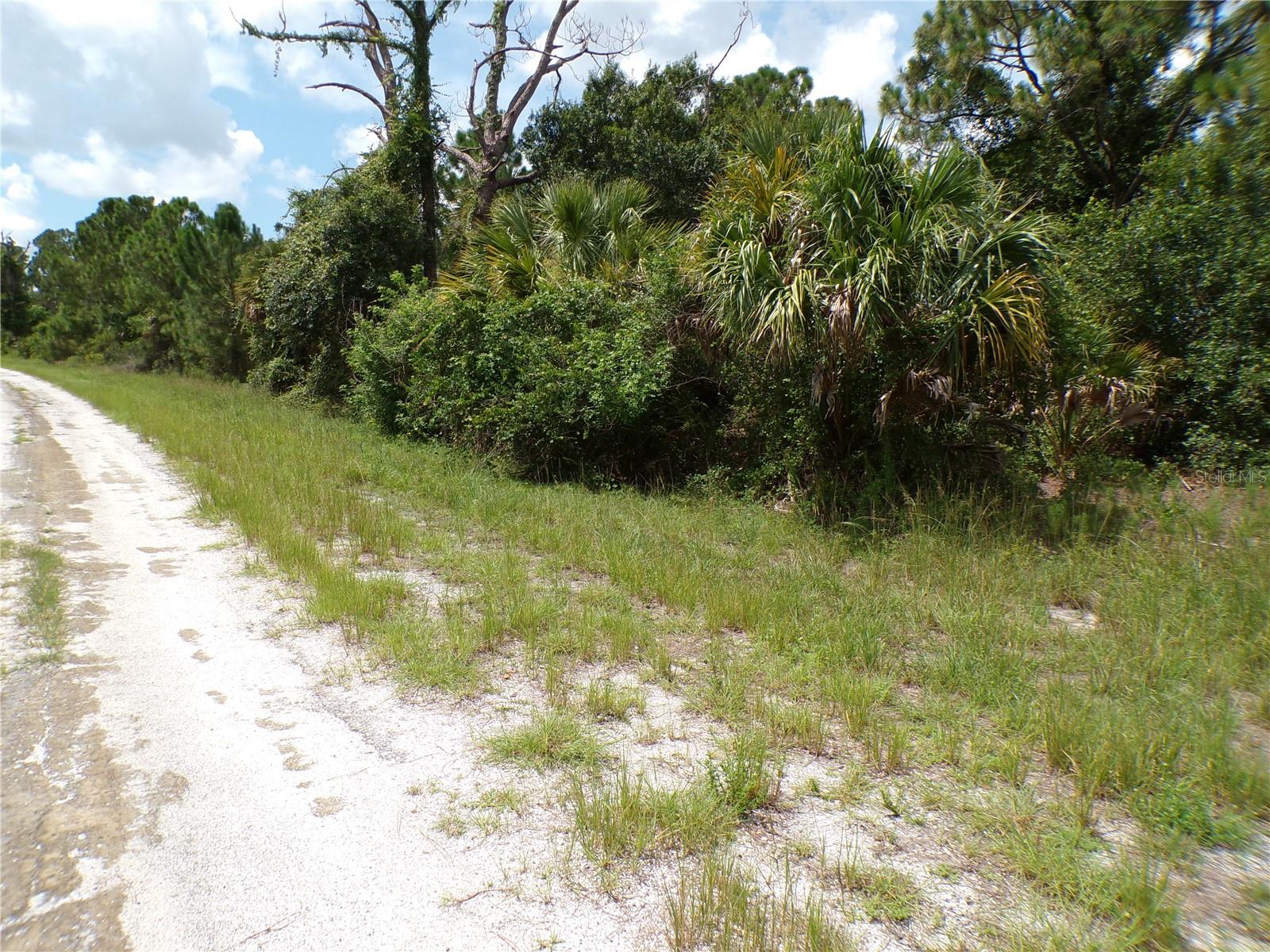 Constitution Dr Property Photo 6