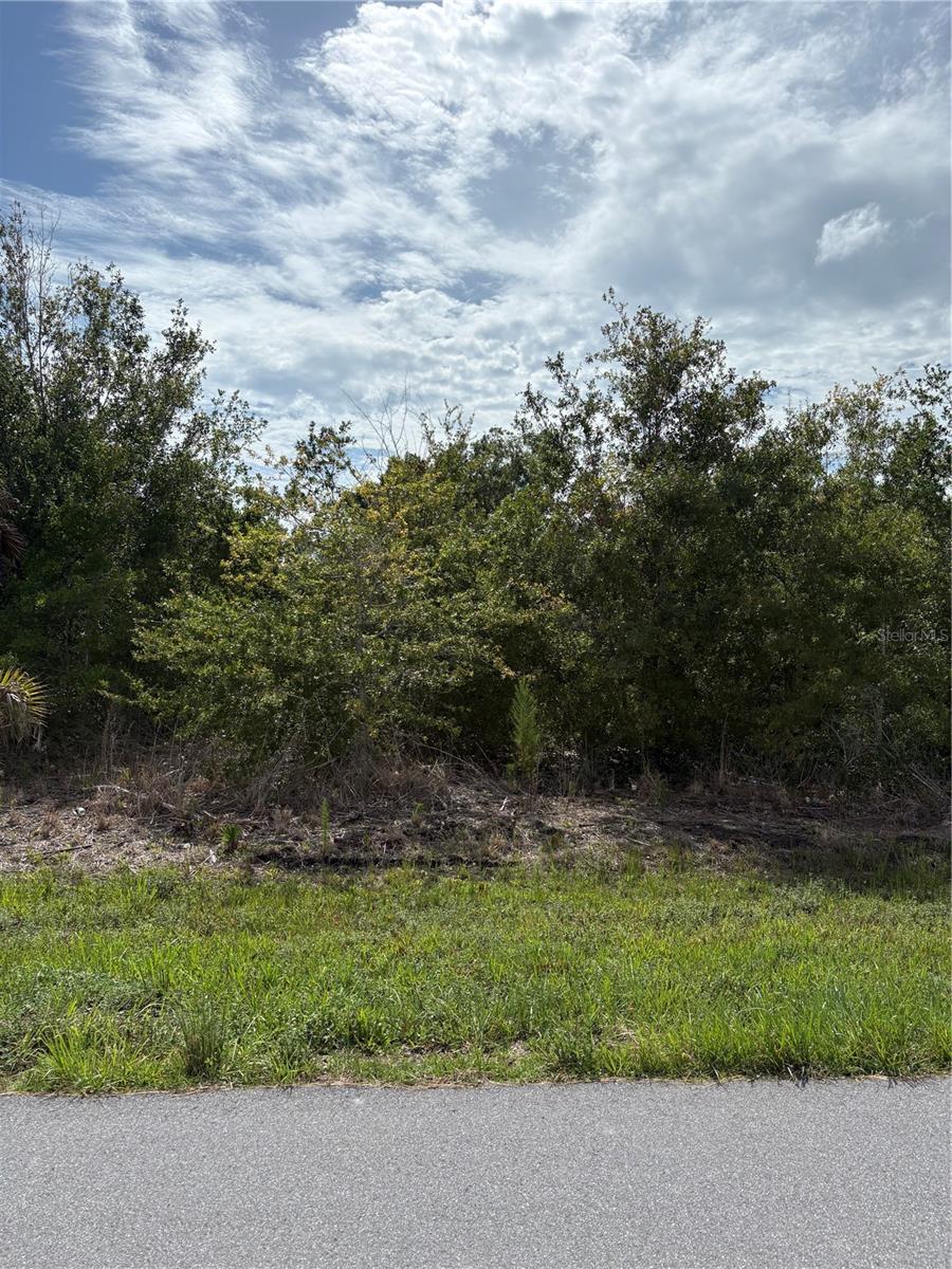 6175 Mcallen St Property Photo 3