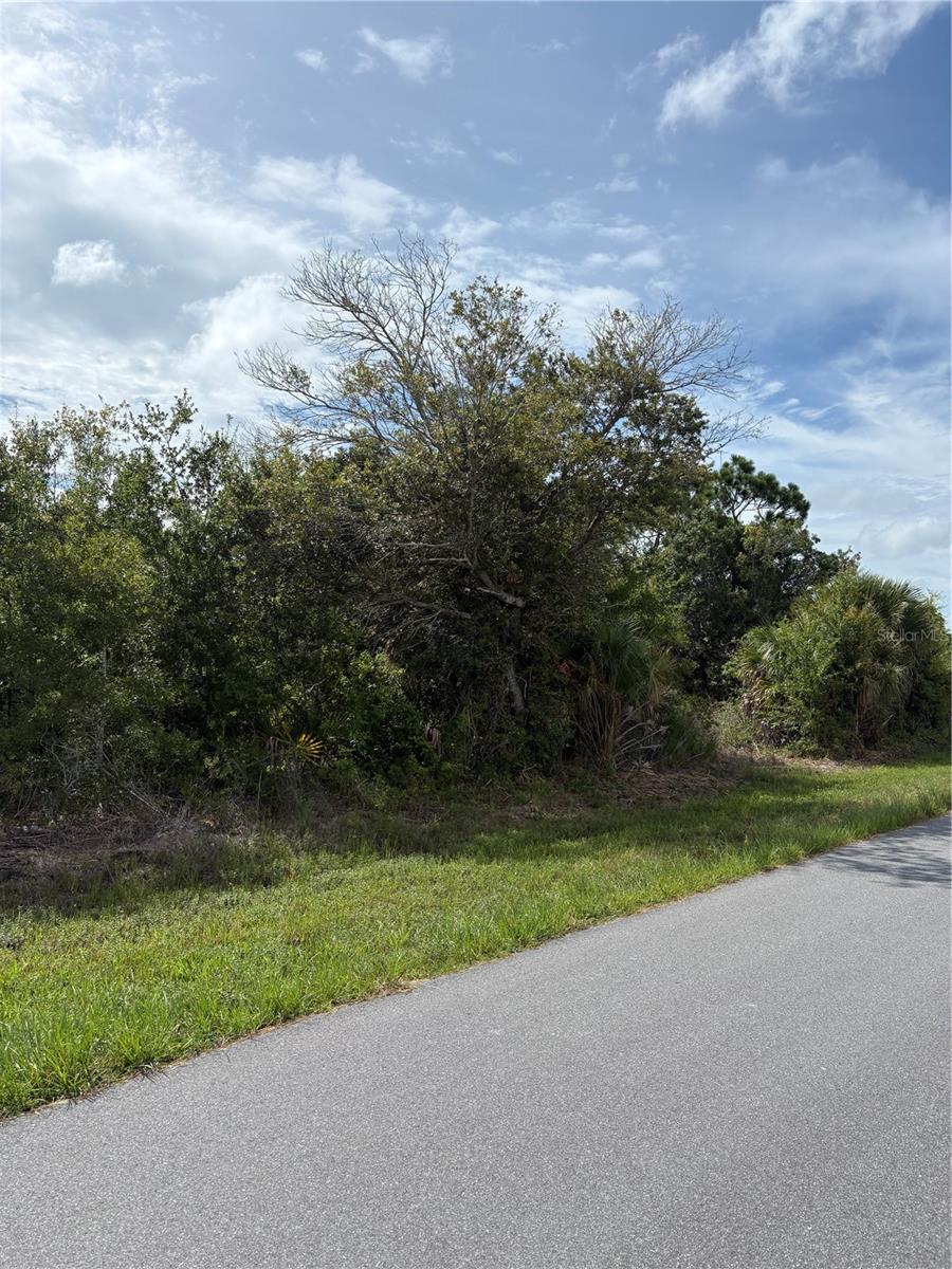 6175 Mcallen St Property Photo 4