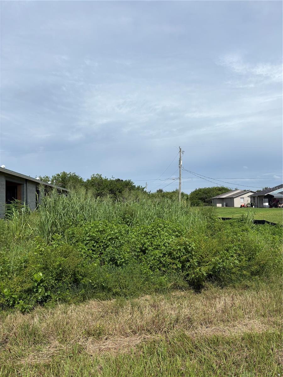 6175 Mcallen St Property Photo 6