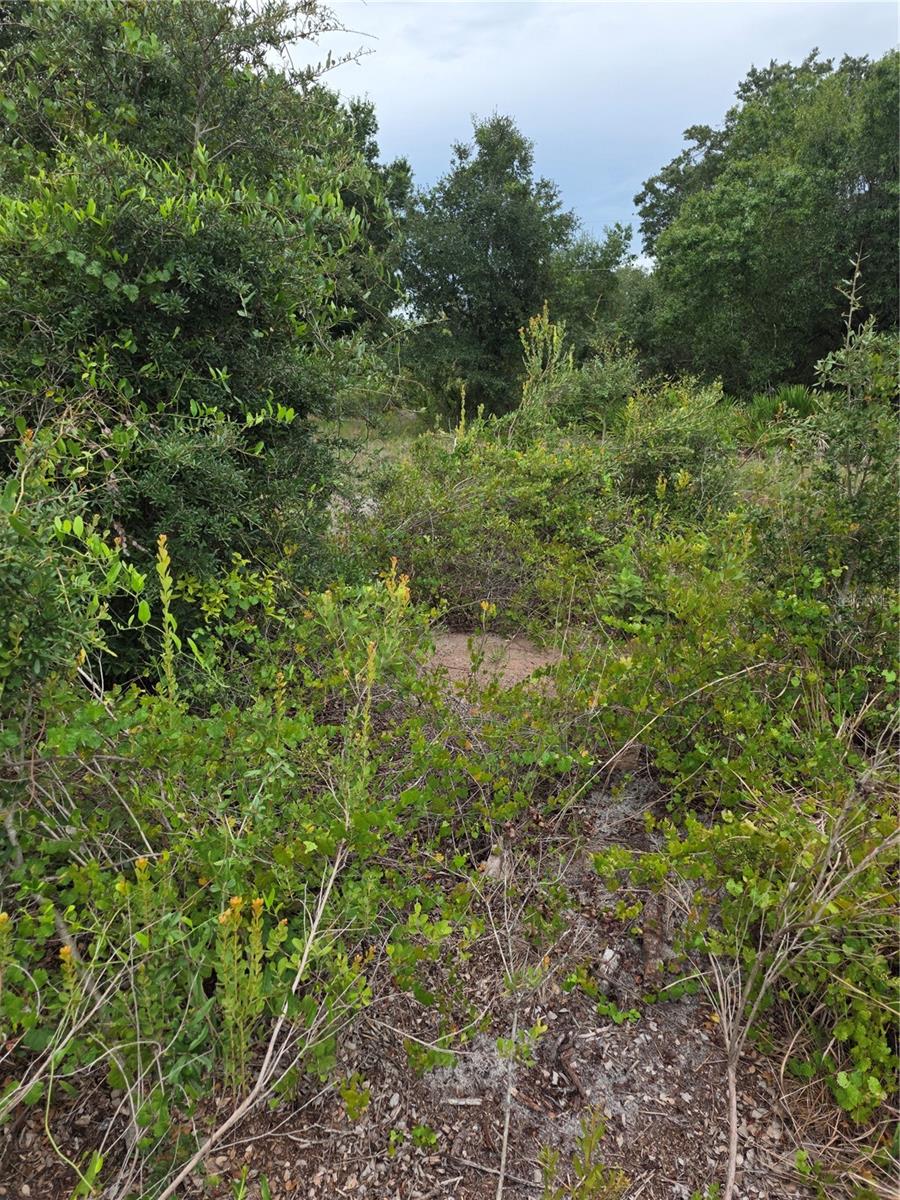 2354 Marcella Ter Property Photo 2