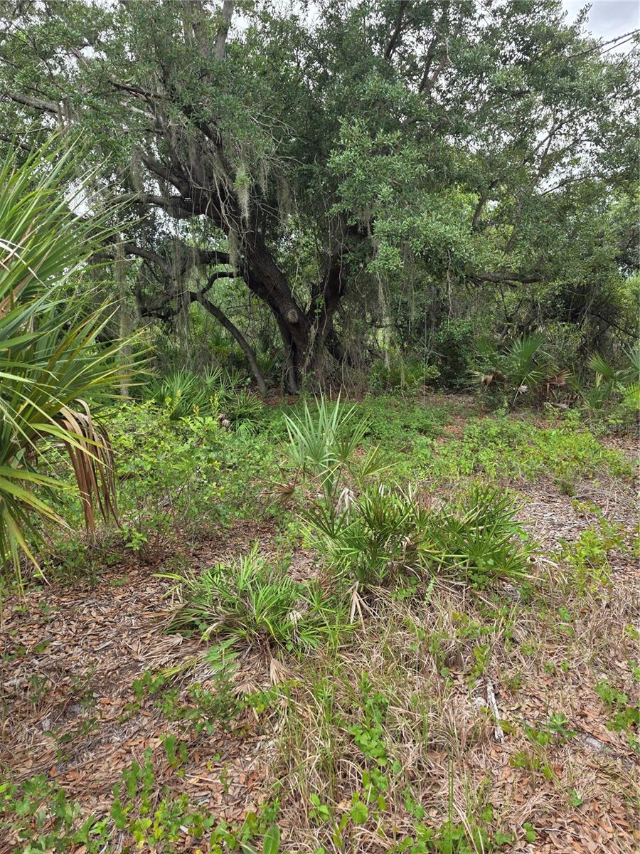 2354 Marcella Ter Property Photo 3