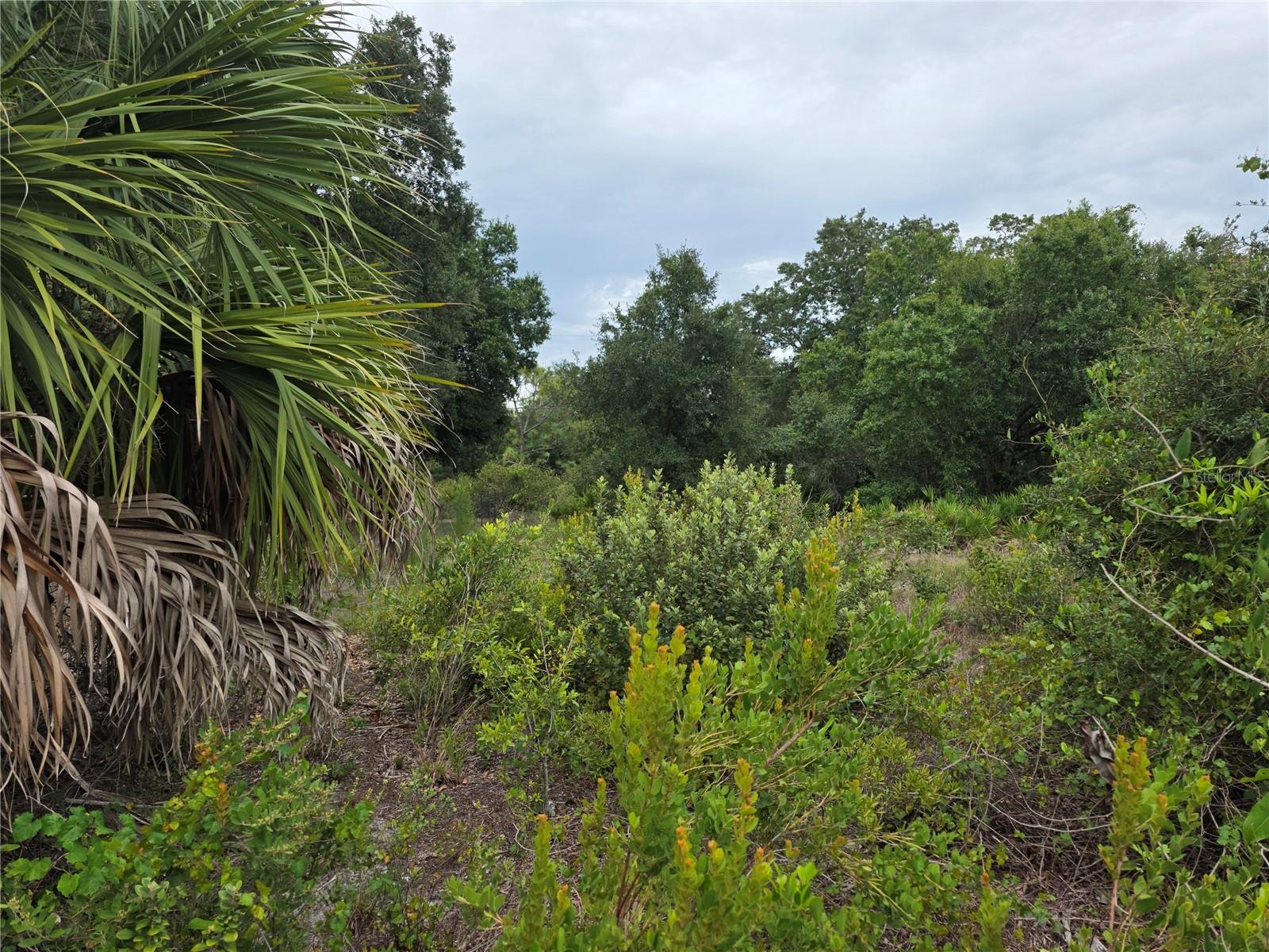2354 Marcella Ter Property Photo 4