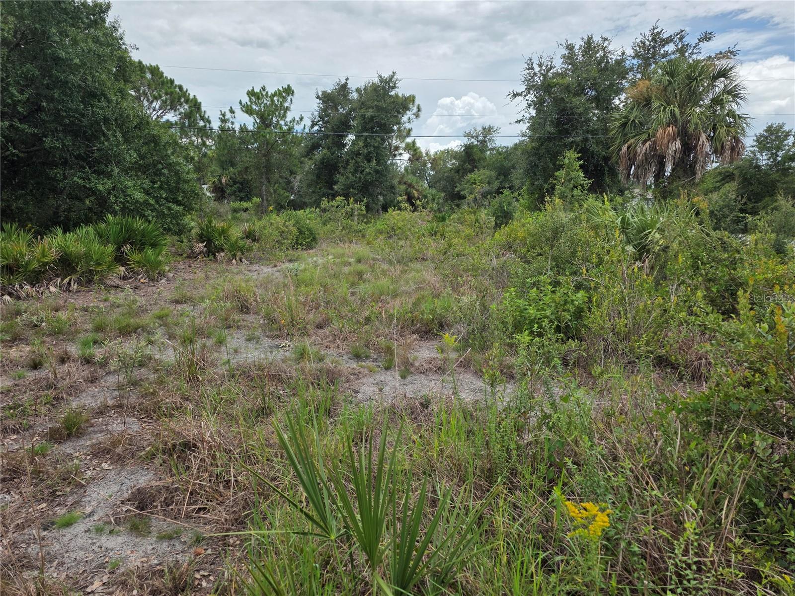 2354 Marcella Ter Property Photo 5
