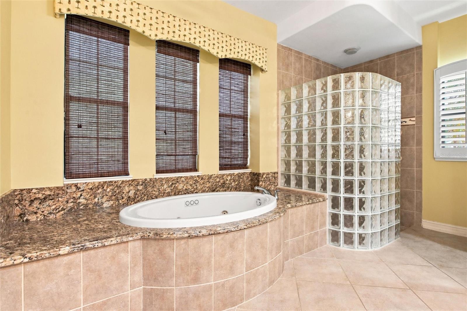 9295 Trieste Dr Property Photo 48