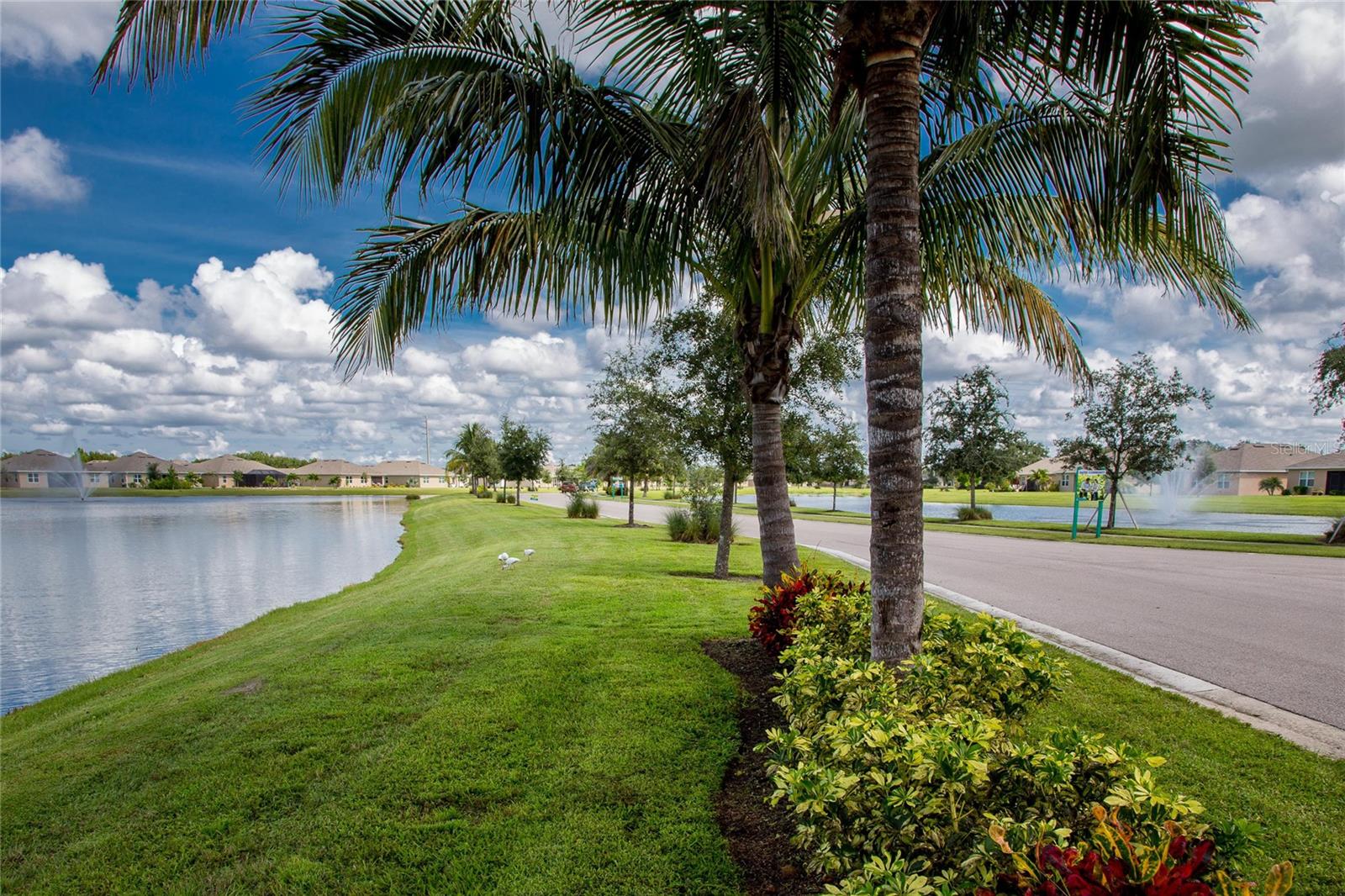 25033 Lalique Pl Property Photo 33