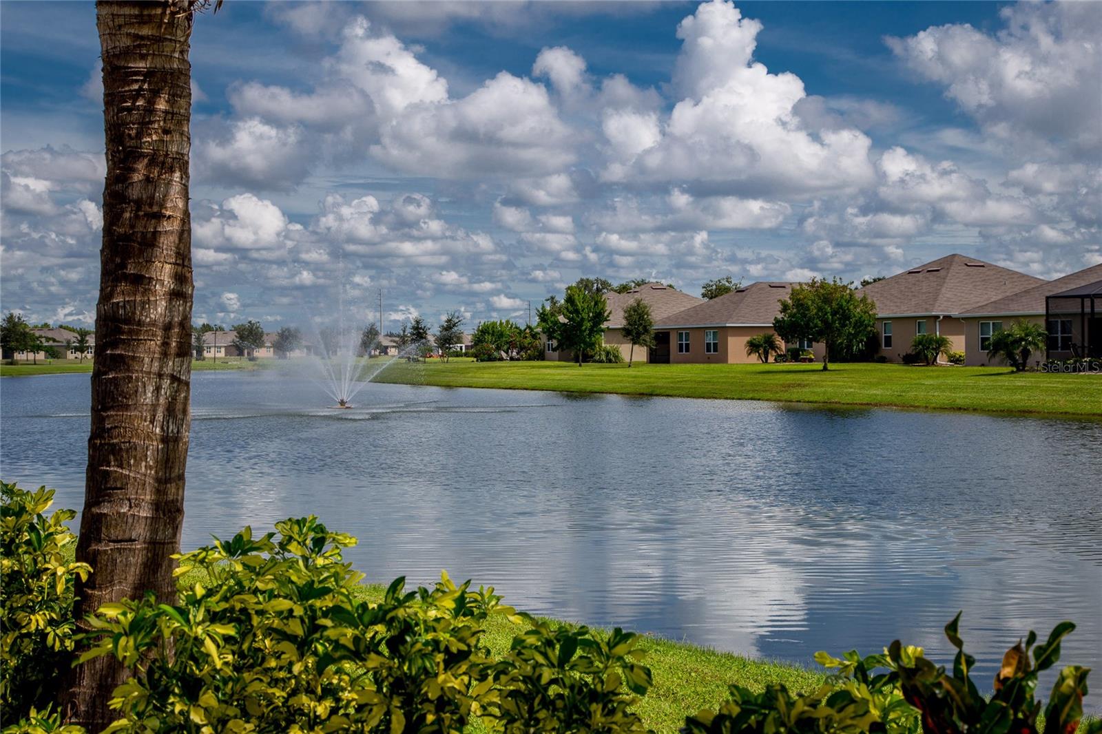 25033 Lalique Pl Property Photo 34