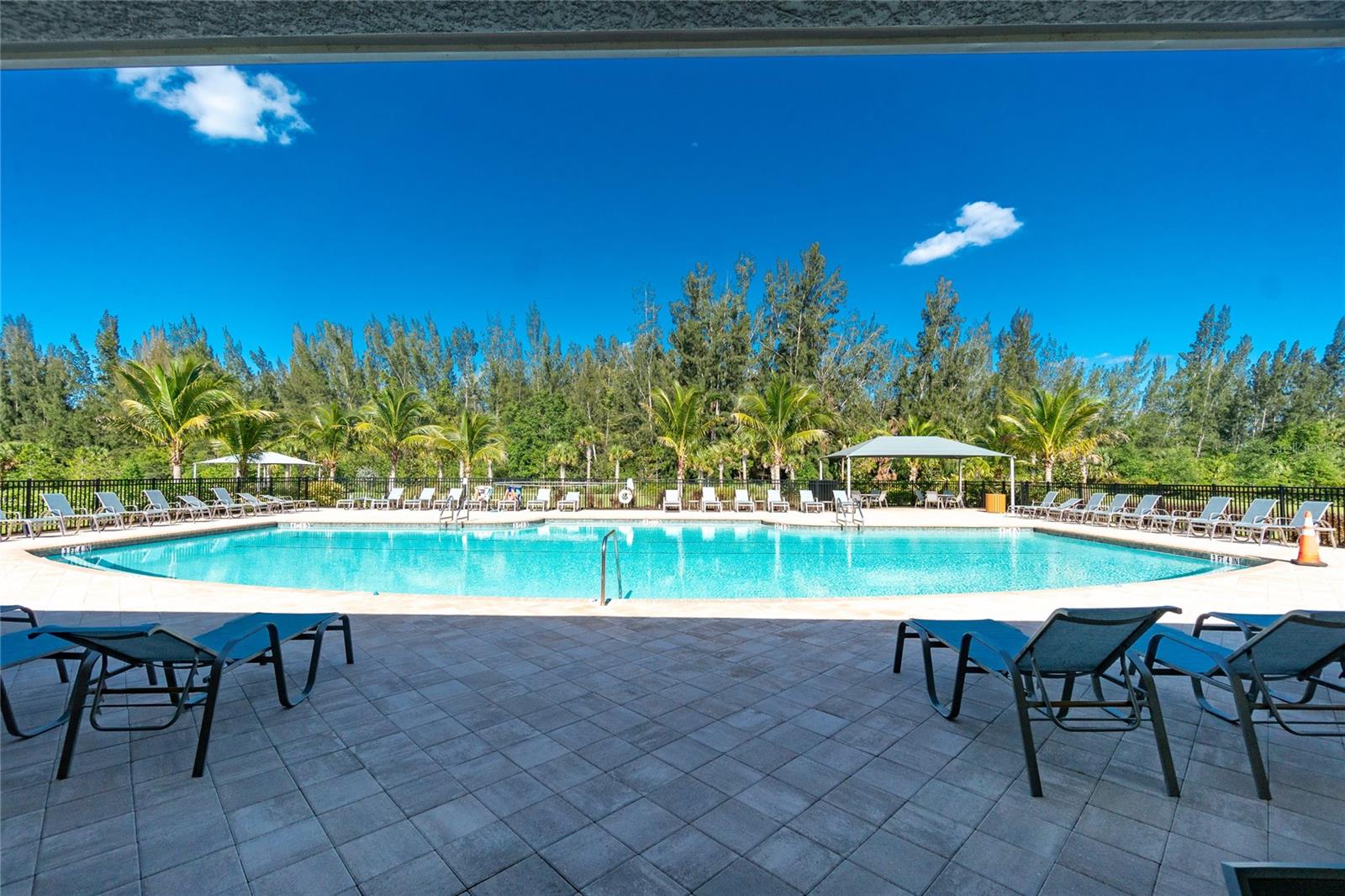 25033 Lalique Pl Property Photo 41