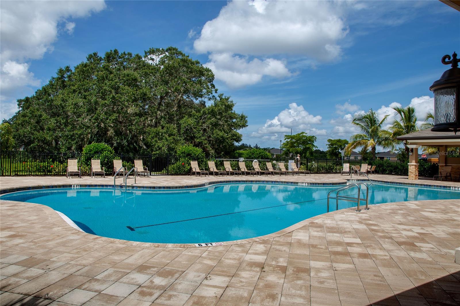25033 Lalique Pl Property Photo 46