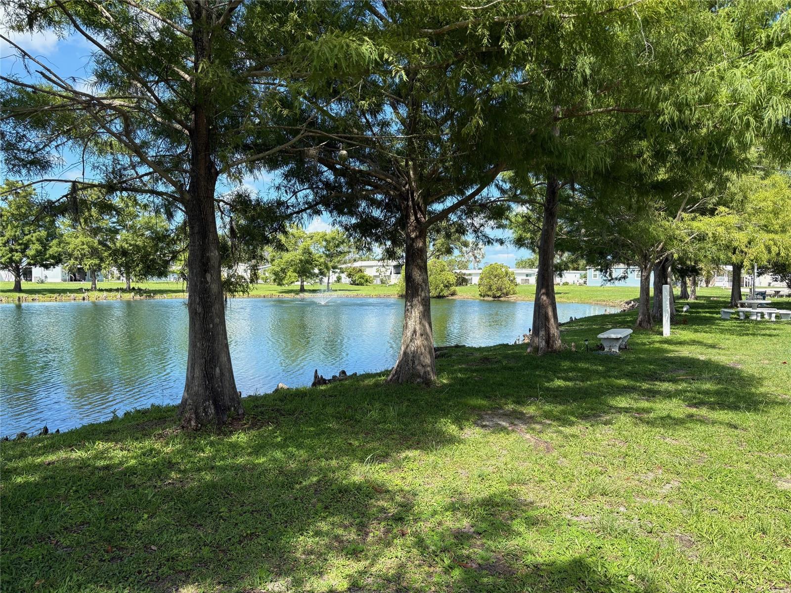 6562 Hikina Dr Property Photo 37