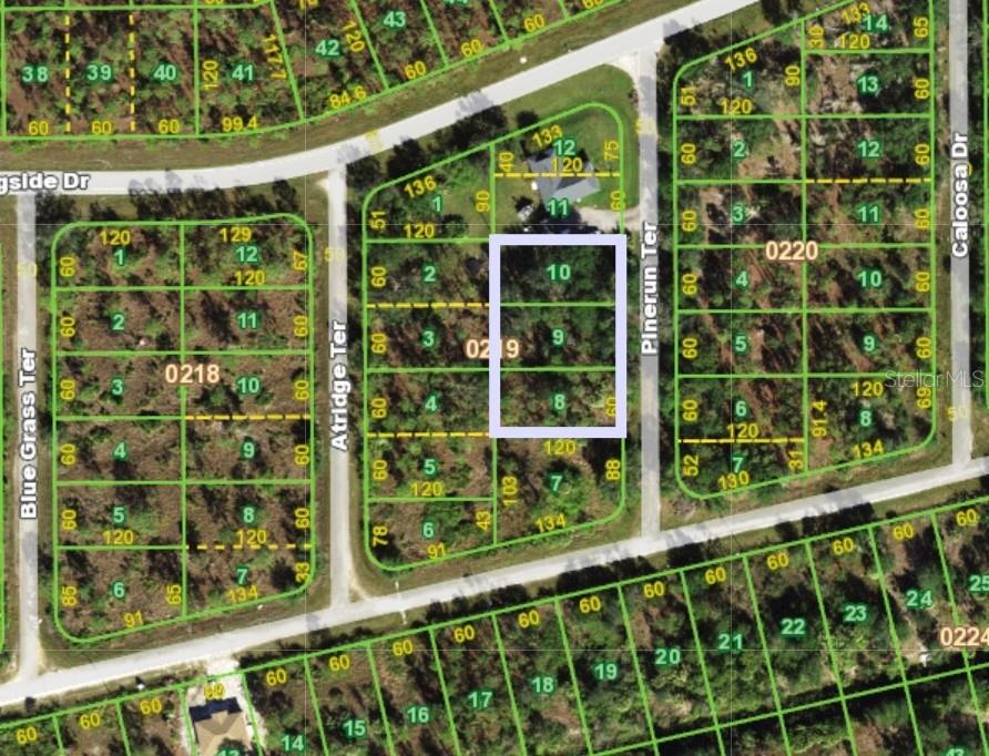 13263 Pinerun Ter Property Photo 2