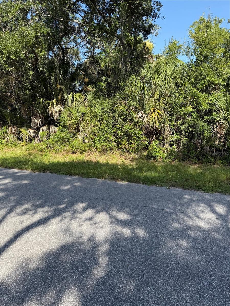 1137 Weldon Ter Property Photo 7
