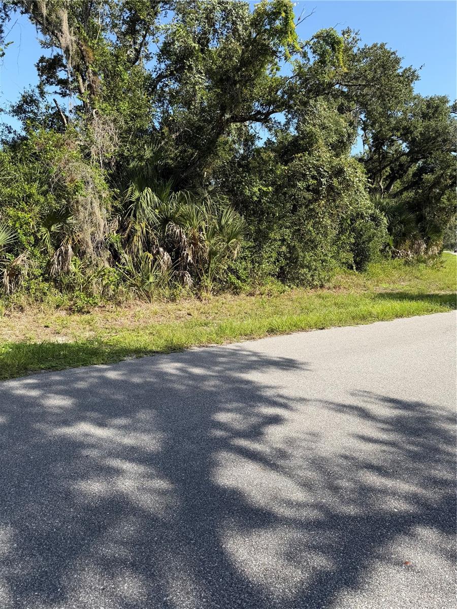1137 Weldon Ter Property Photo 11