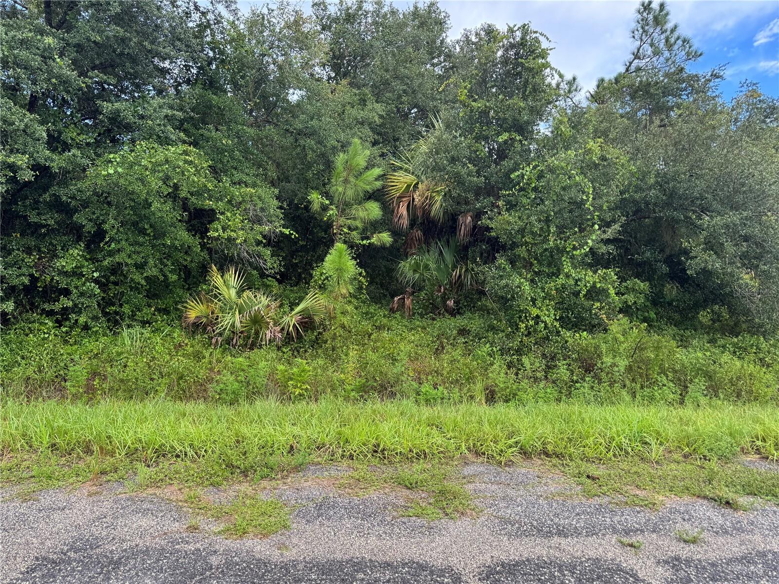 Kamain Rd Property Photo 1
