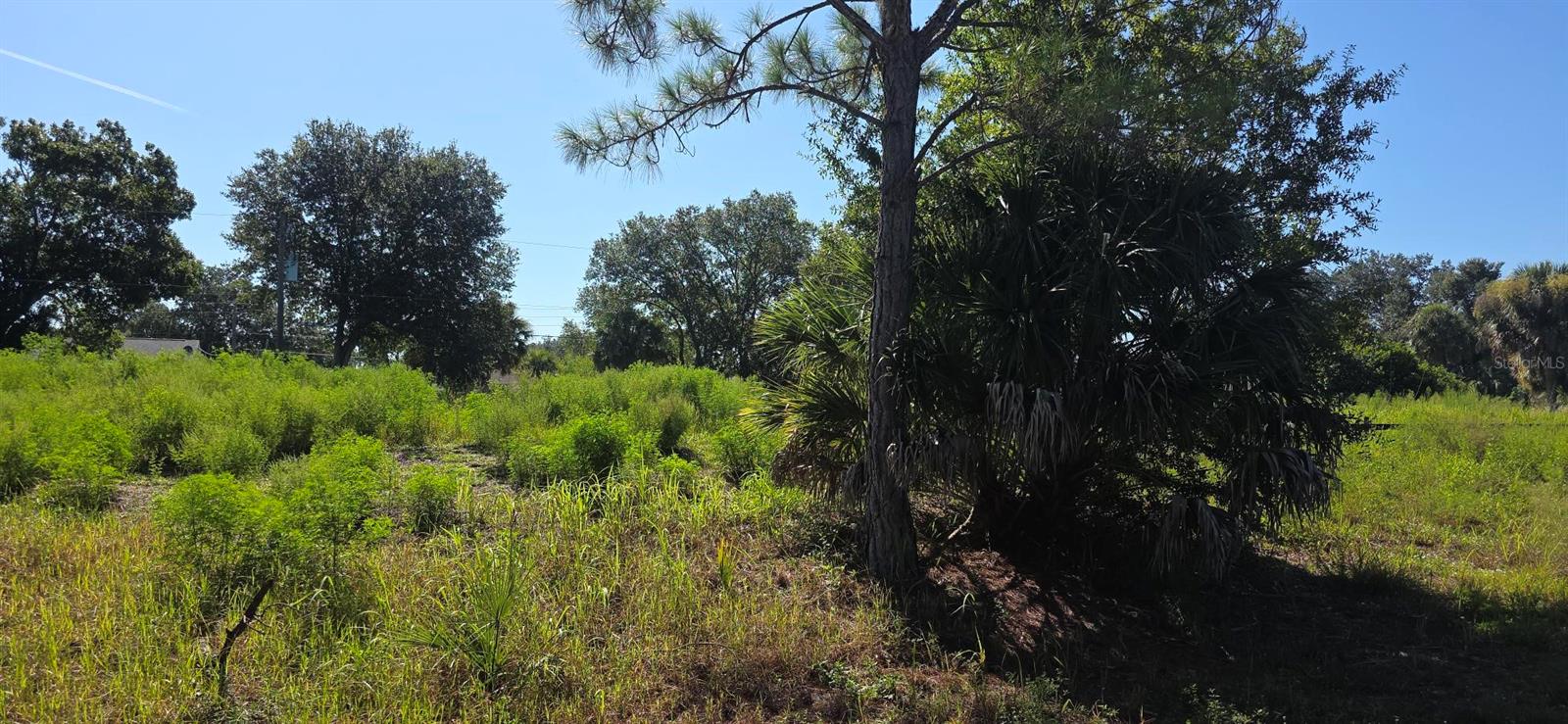 Chamrade Rd Property Photo 4