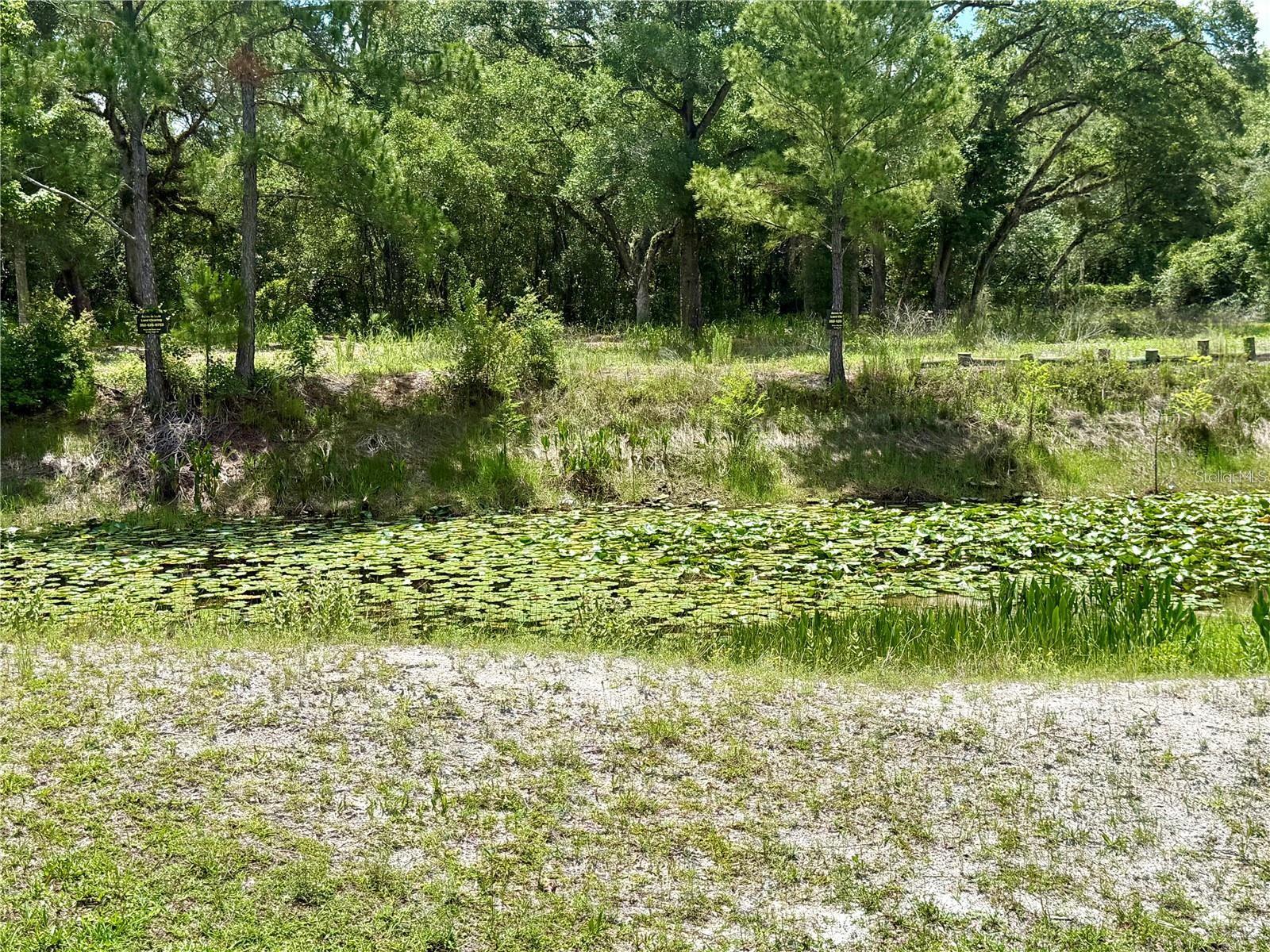 Lot 10 Long Cir Property Photo 7