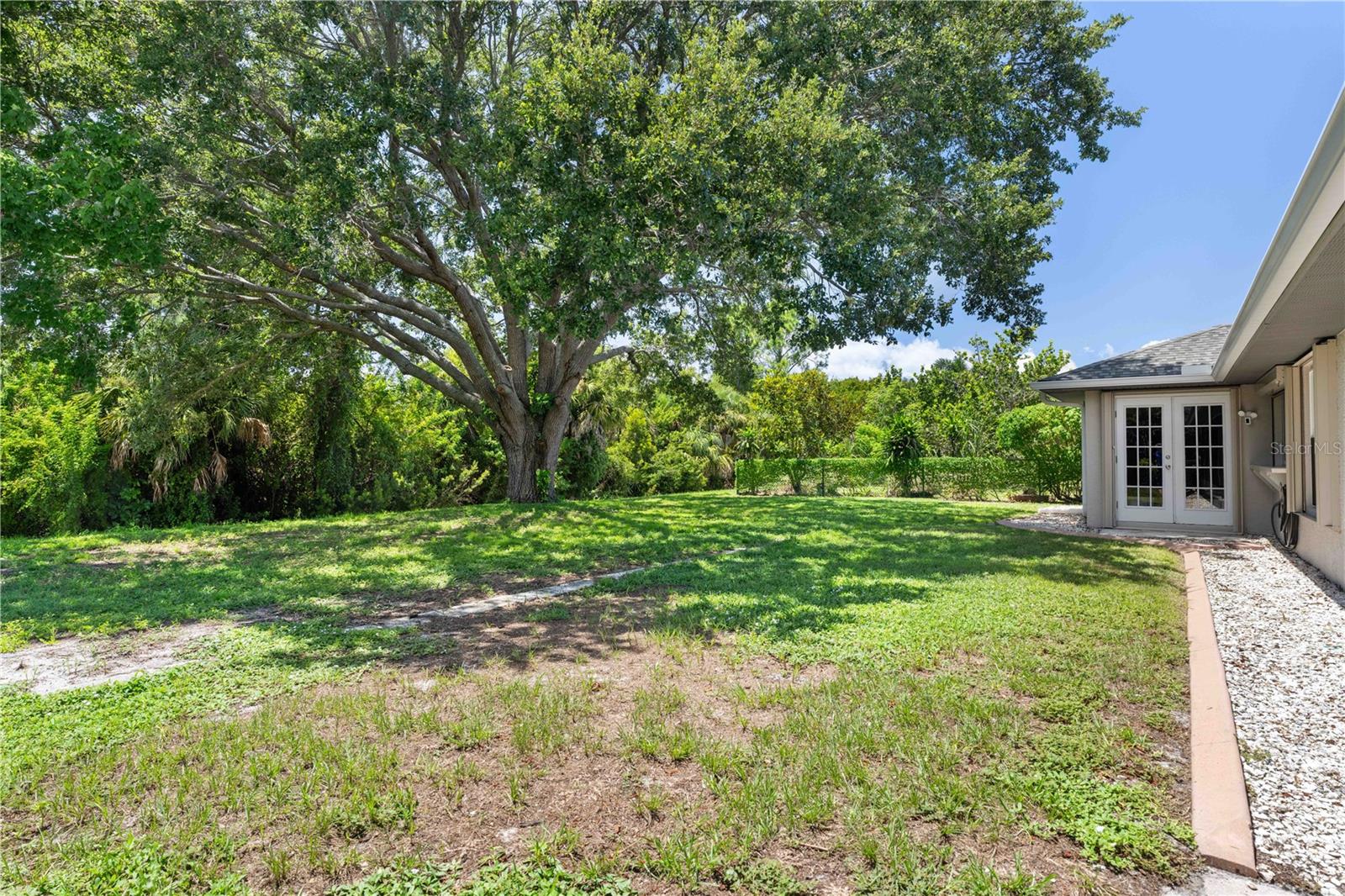 313 Gold Tree Property Photo 43
