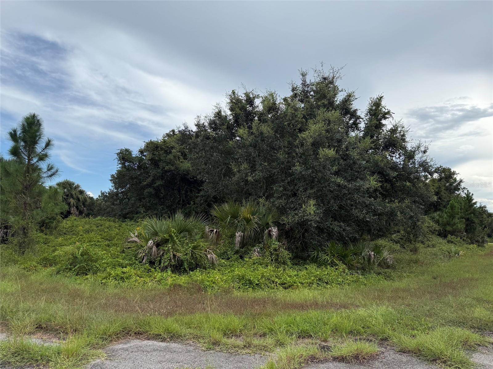 Lot 1 GASKINS CIR Property Photo 1