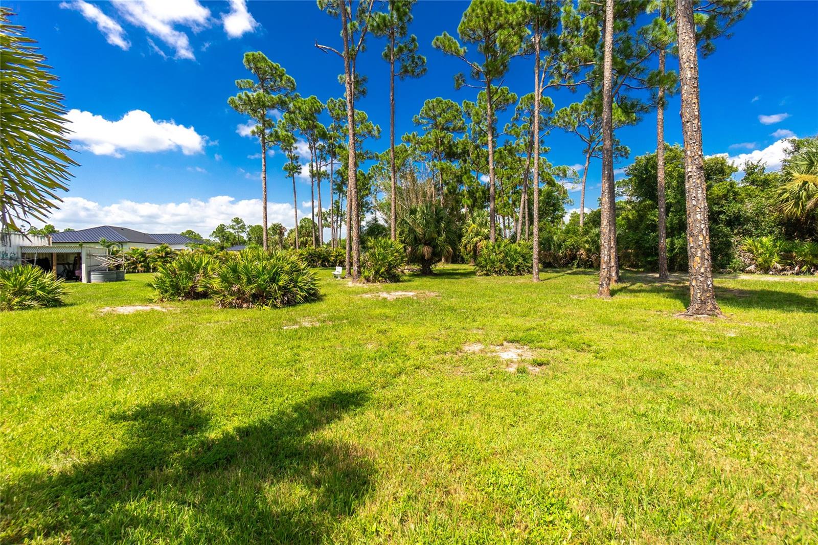 29494 Clark Dr Property Photo 90