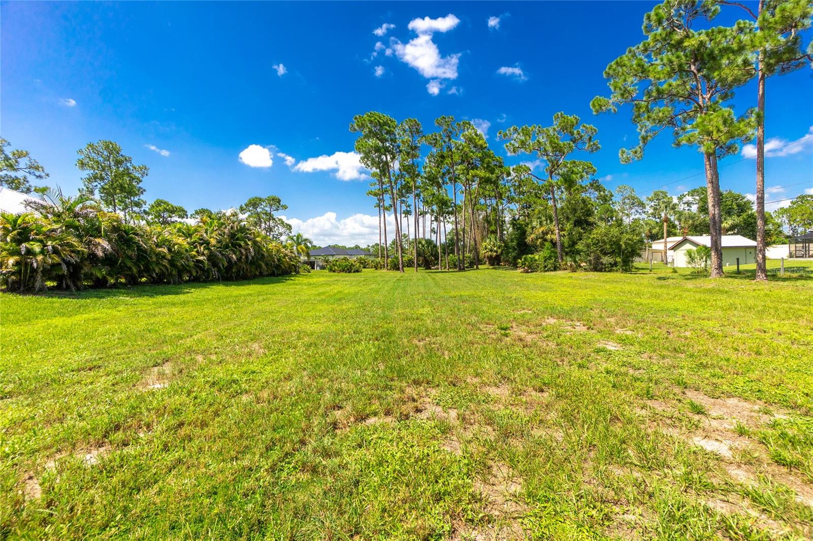 29494 Clark Dr Property Photo 93
