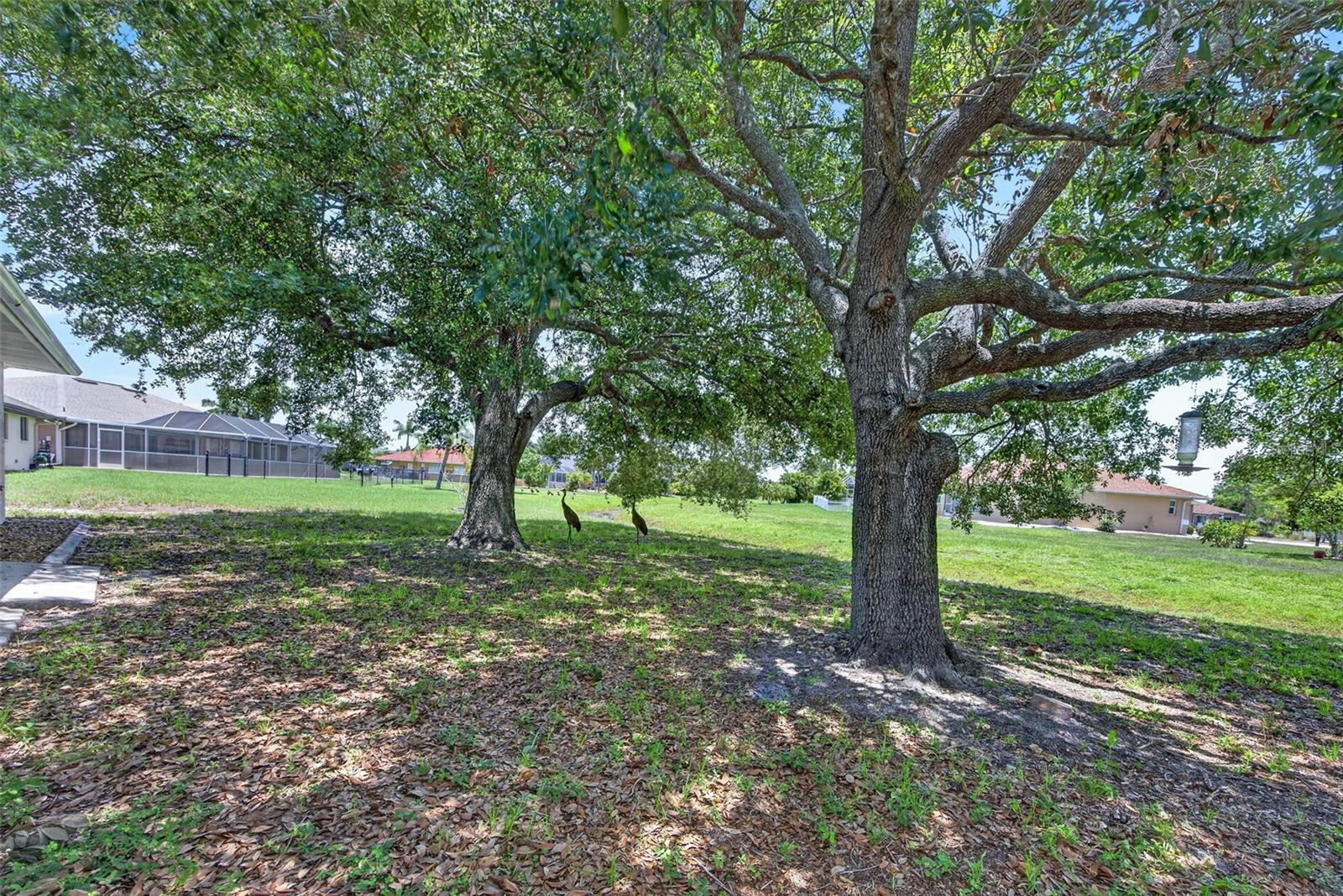 7510 Ligustrum Property Photo 21