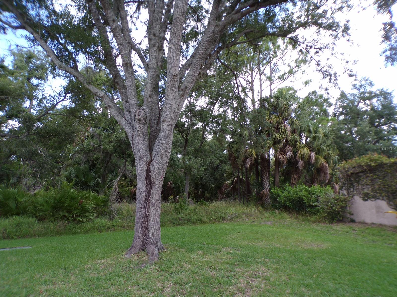 232 Natures Way Property Photo 21