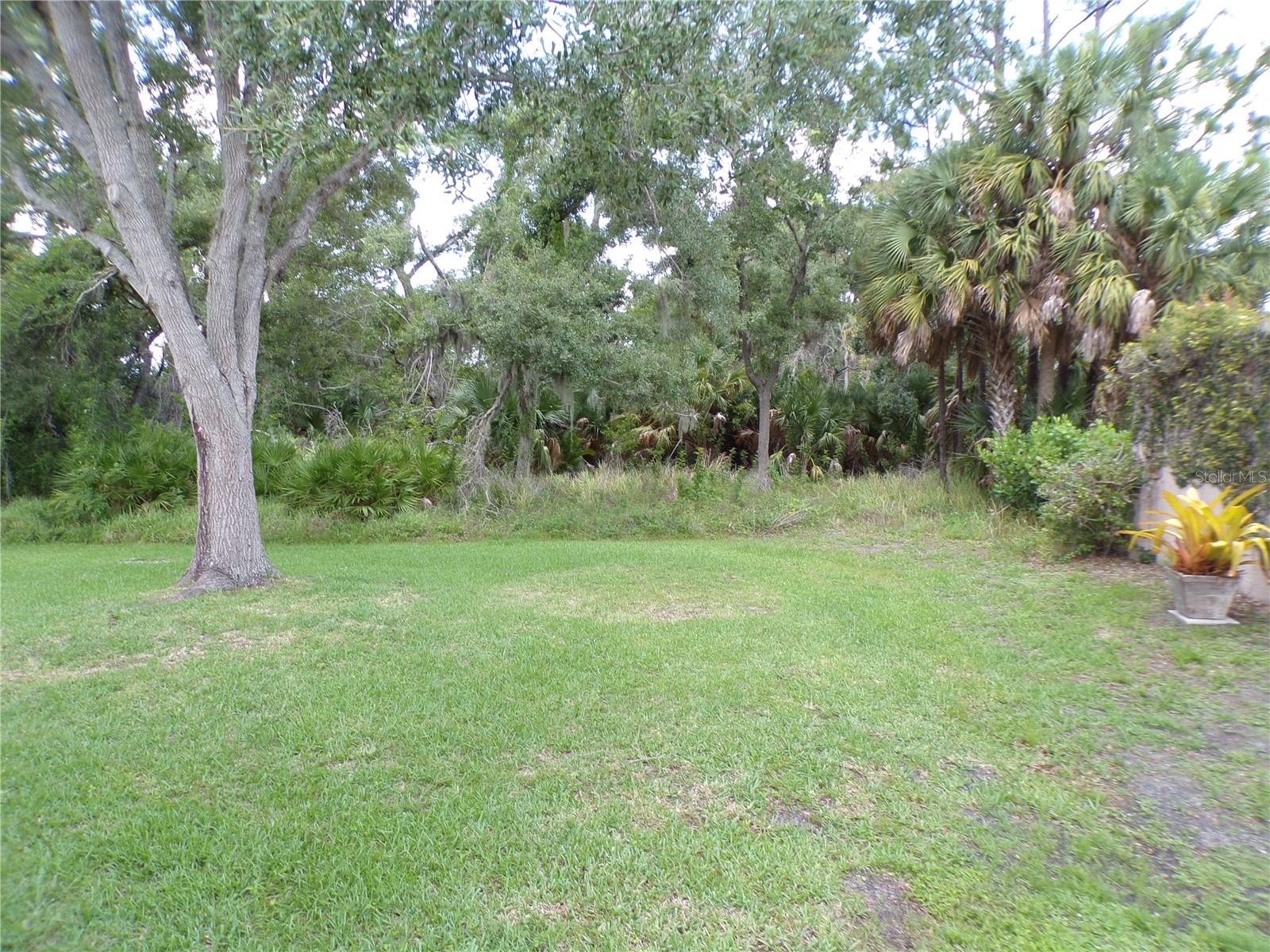 232 Natures Way Property Photo 24
