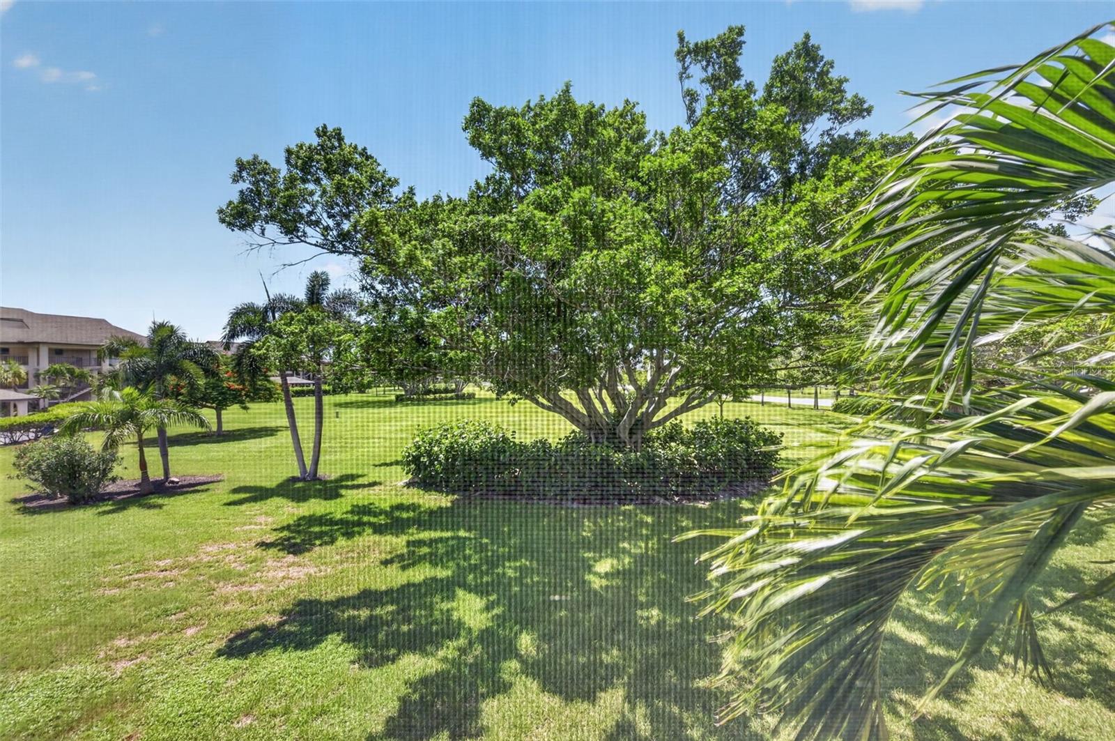 1610 Islamorada Blvd #61b Property Photo 15